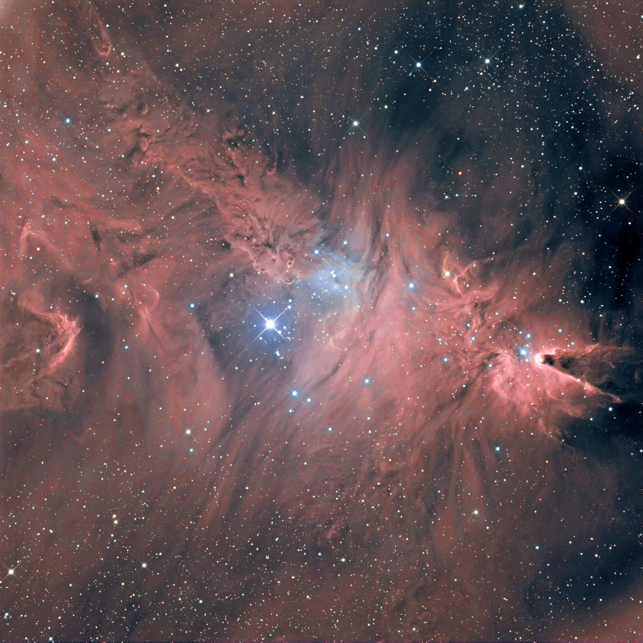 NGC2264 - Gerard Tartalo