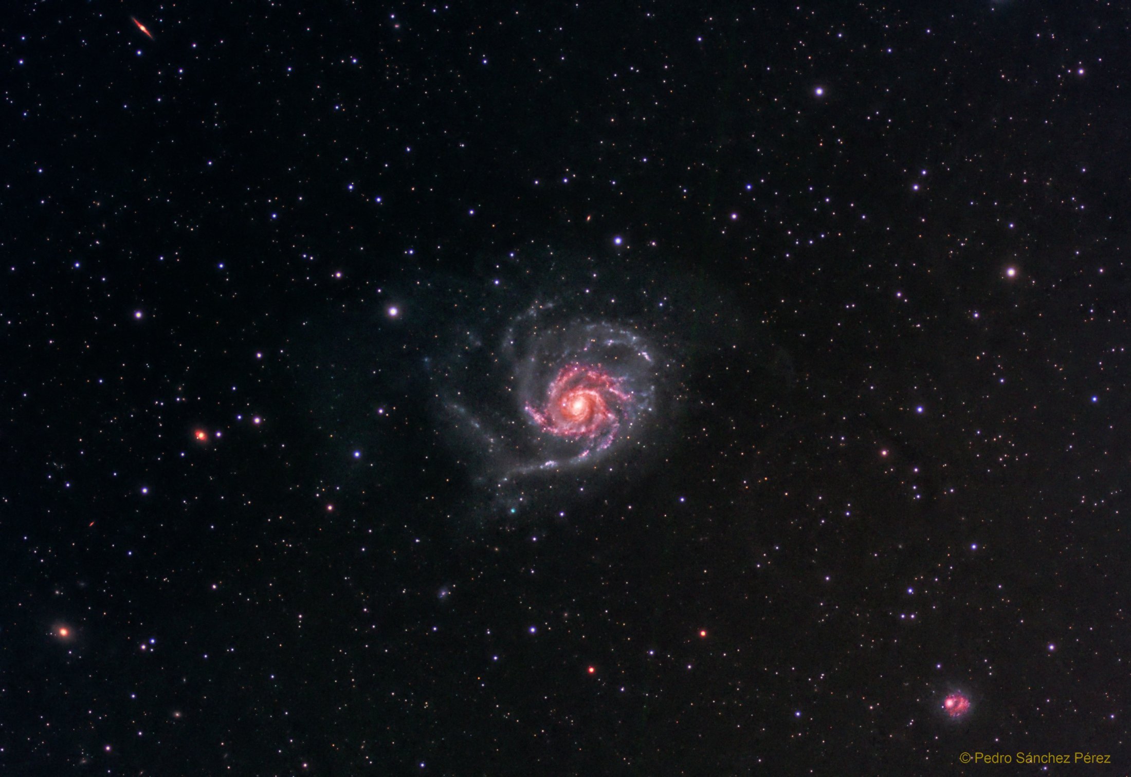 M101 - Pedro Sánchez