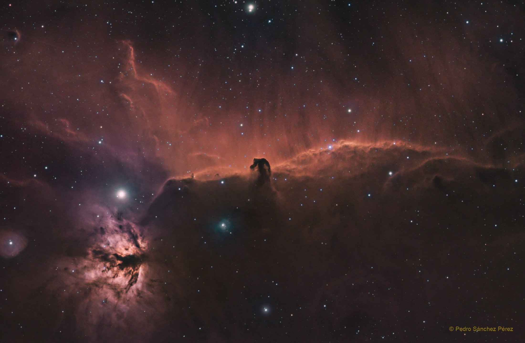 IC434, B33 y NGC2024 - Pedro Sánchez