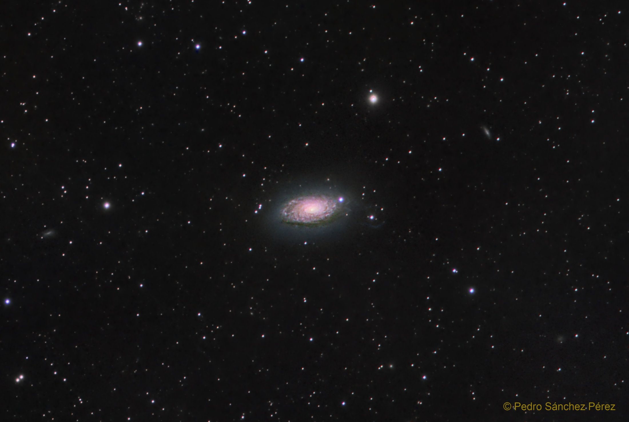 M63 la galaxia del Girasol - Pedro Sánchez