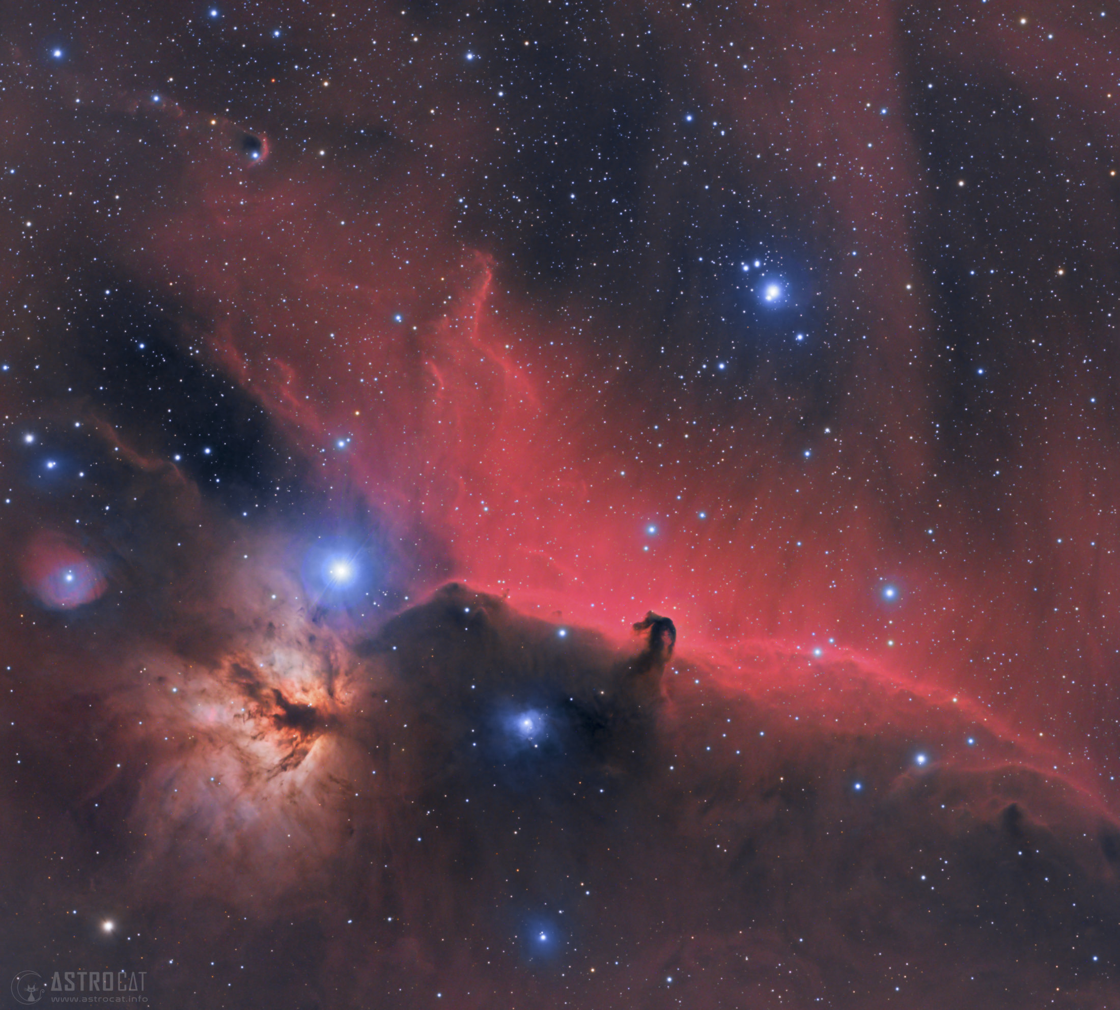 The Horsehead and Flame Nebulae - Aleix Roig