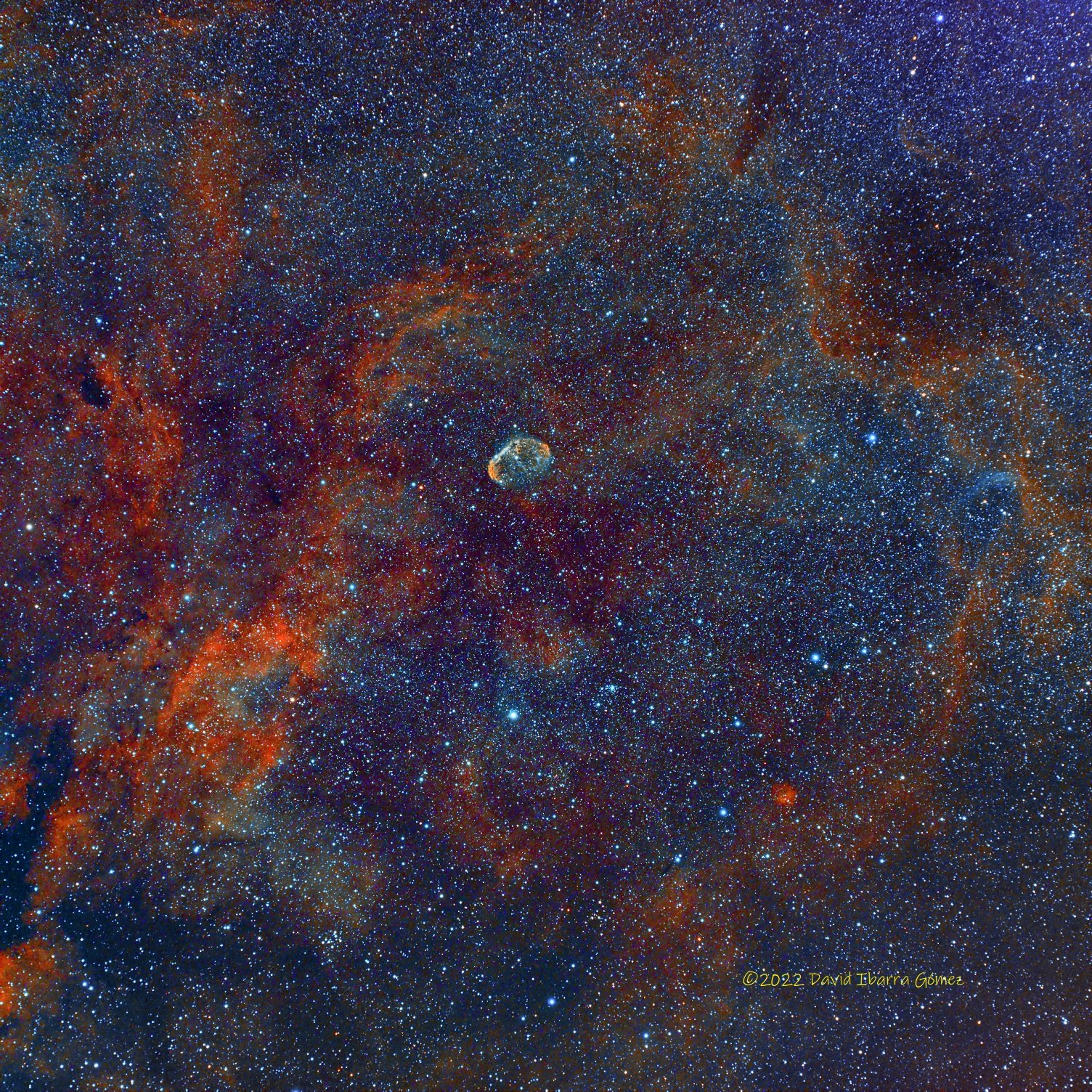 Gran Campo alrededor de Crescent NGC6888 - David Ibarra