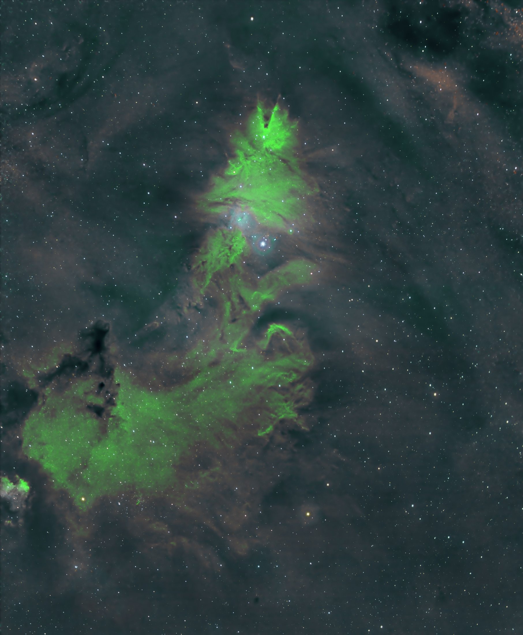 NGC2264 - Enric Vinyoles