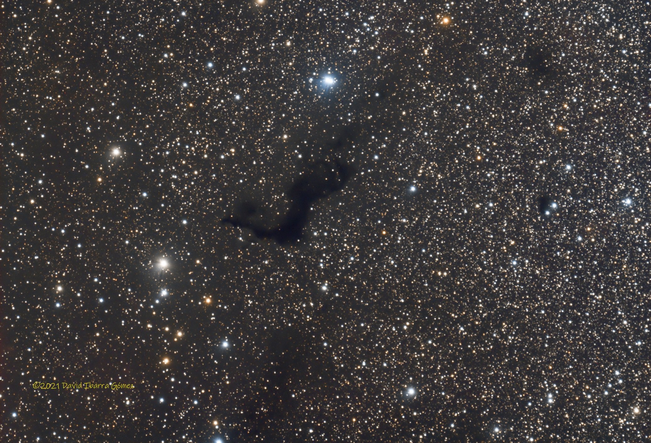 Barnard 174 - David Ibarra