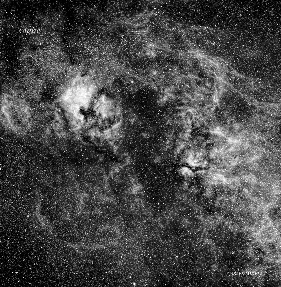 Nebulosa del Cigne - Carles Tudela