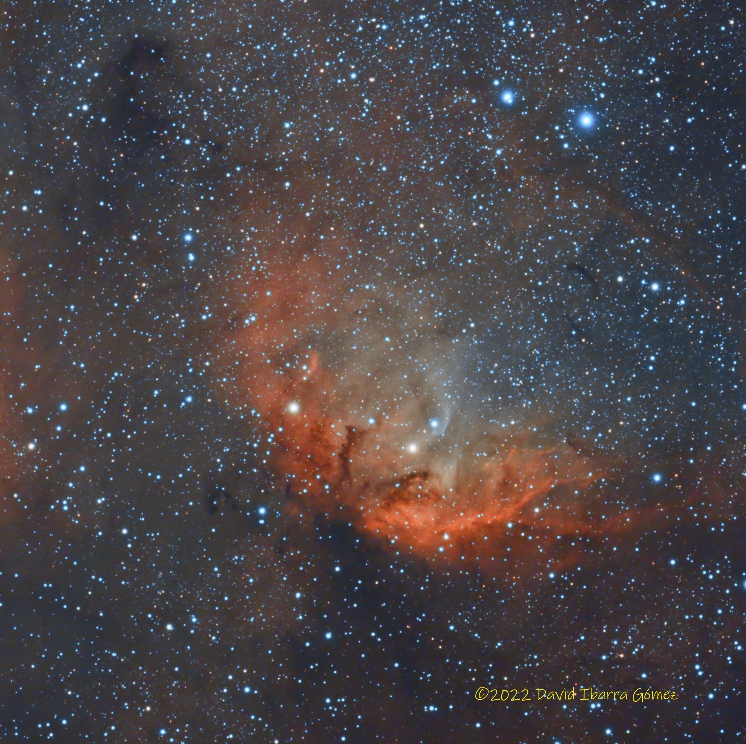 Nebulosa el Tulipan - David Ibarra