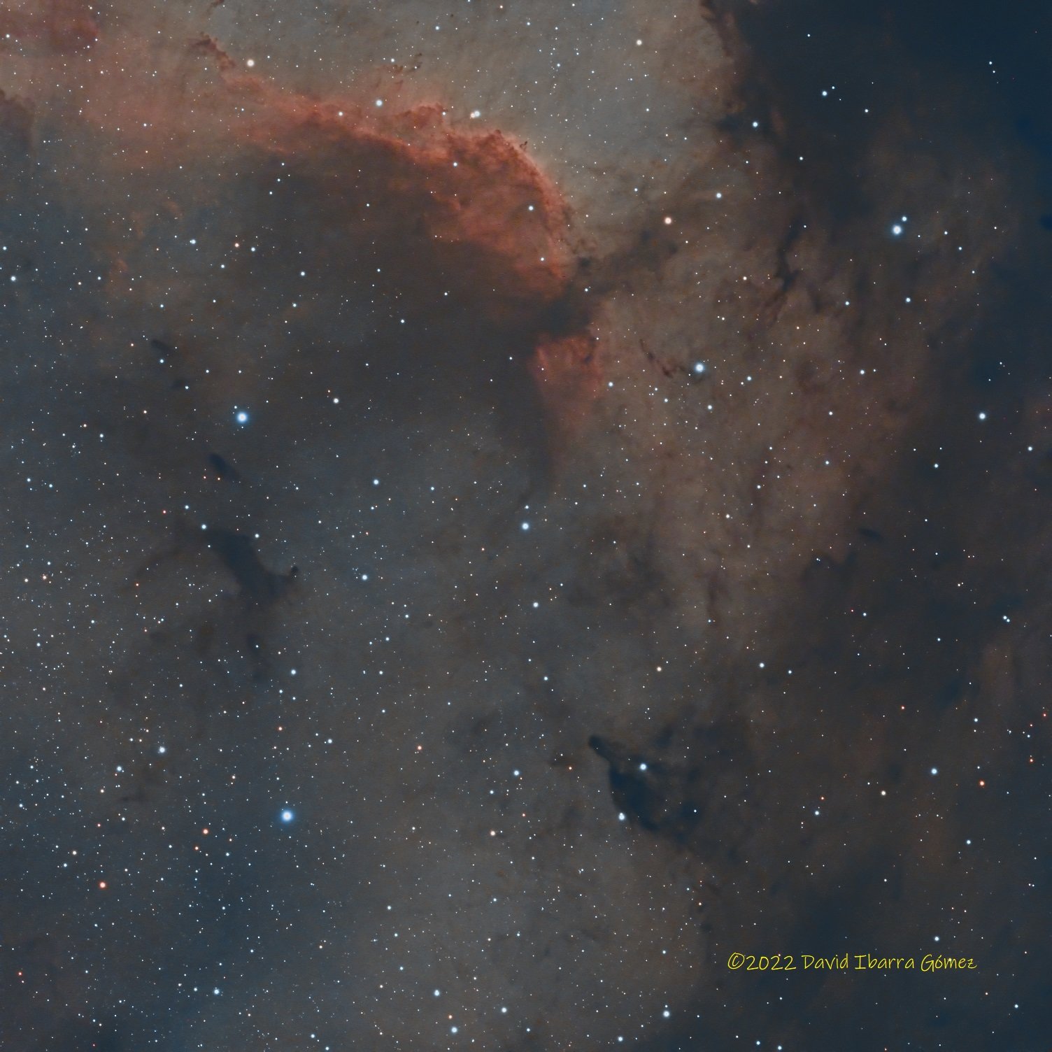 Nebulosa Norteamérica - David Ibarra
