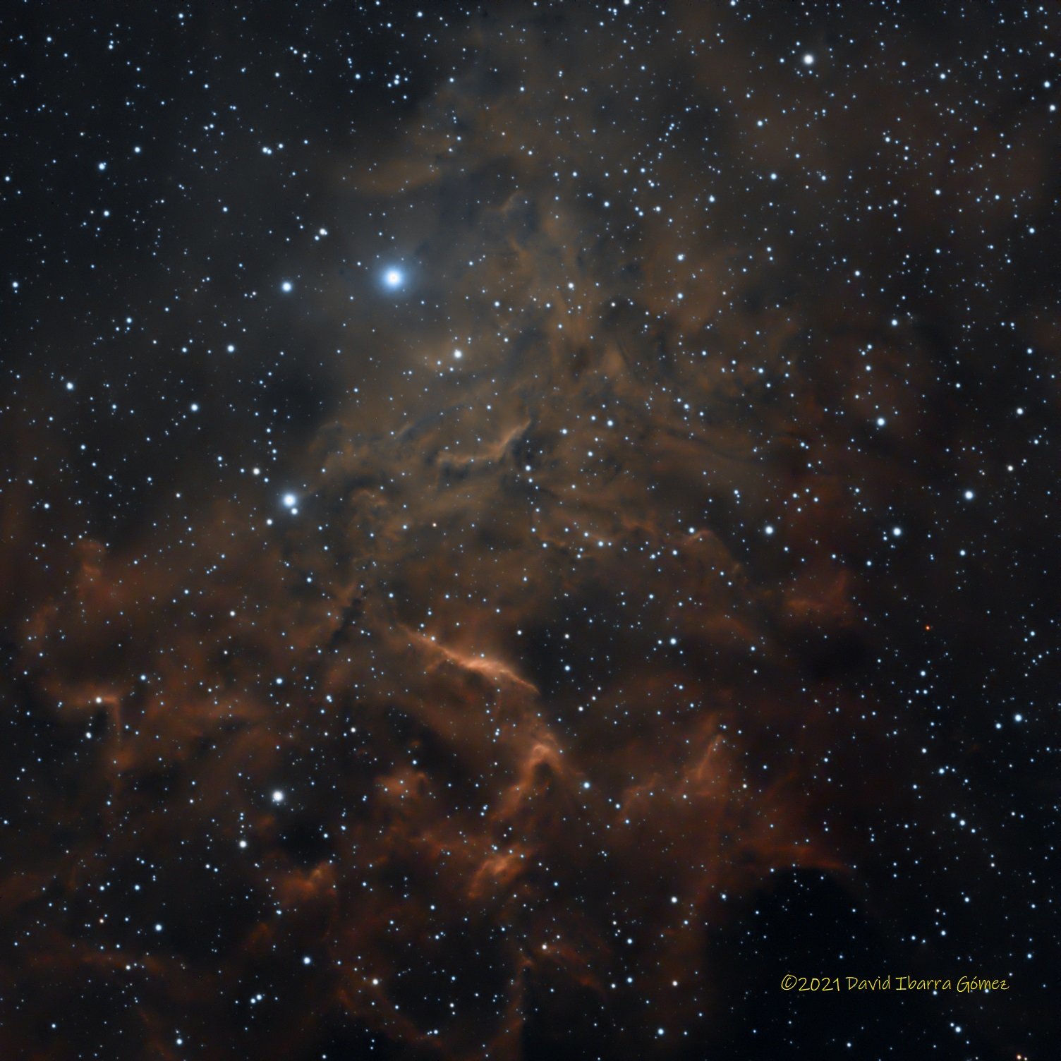 Flaming Star Nebula - David Ibarra