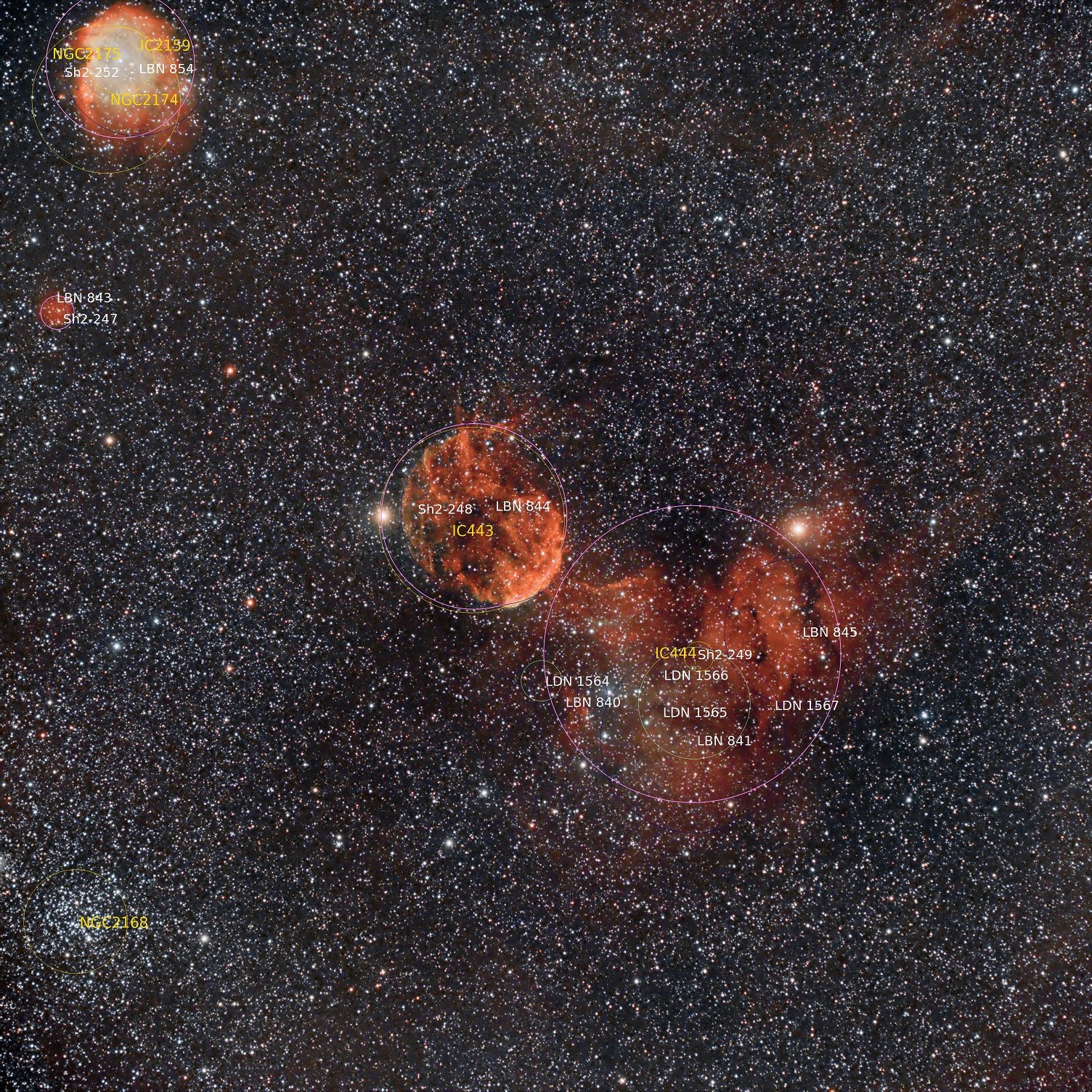 IC433 - David Ibarra