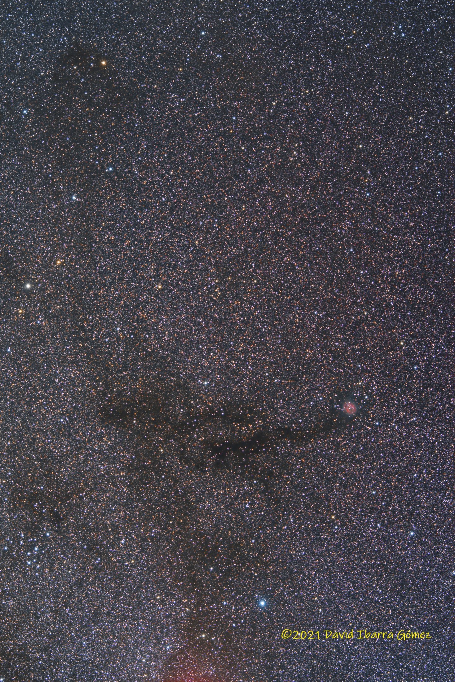 PGC167526 - David Ibarra