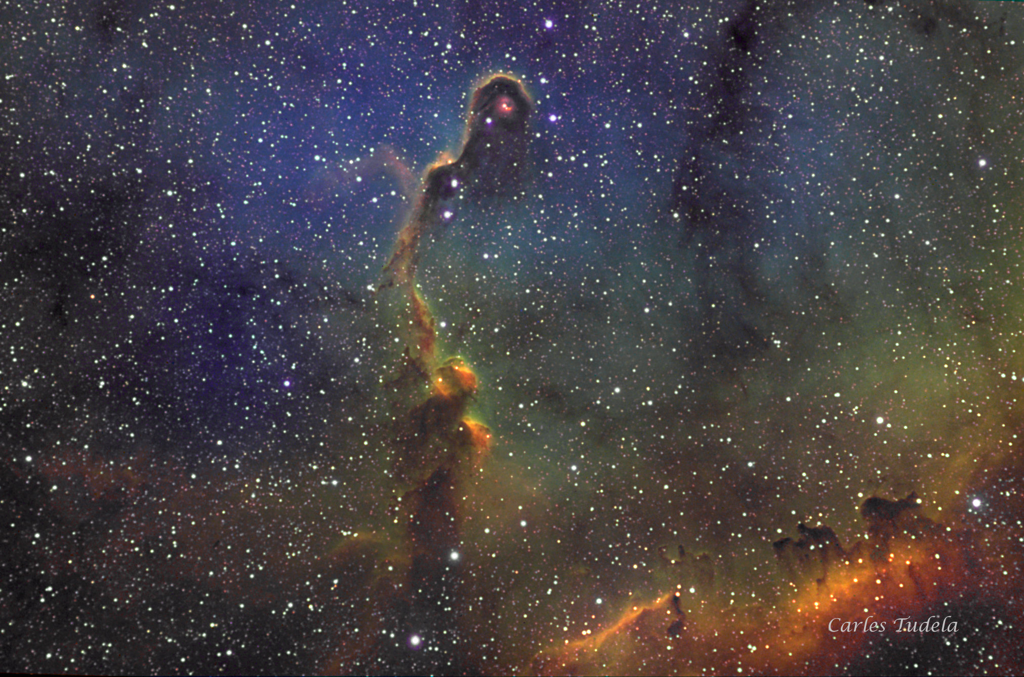 IC1396 - Carles Tudela