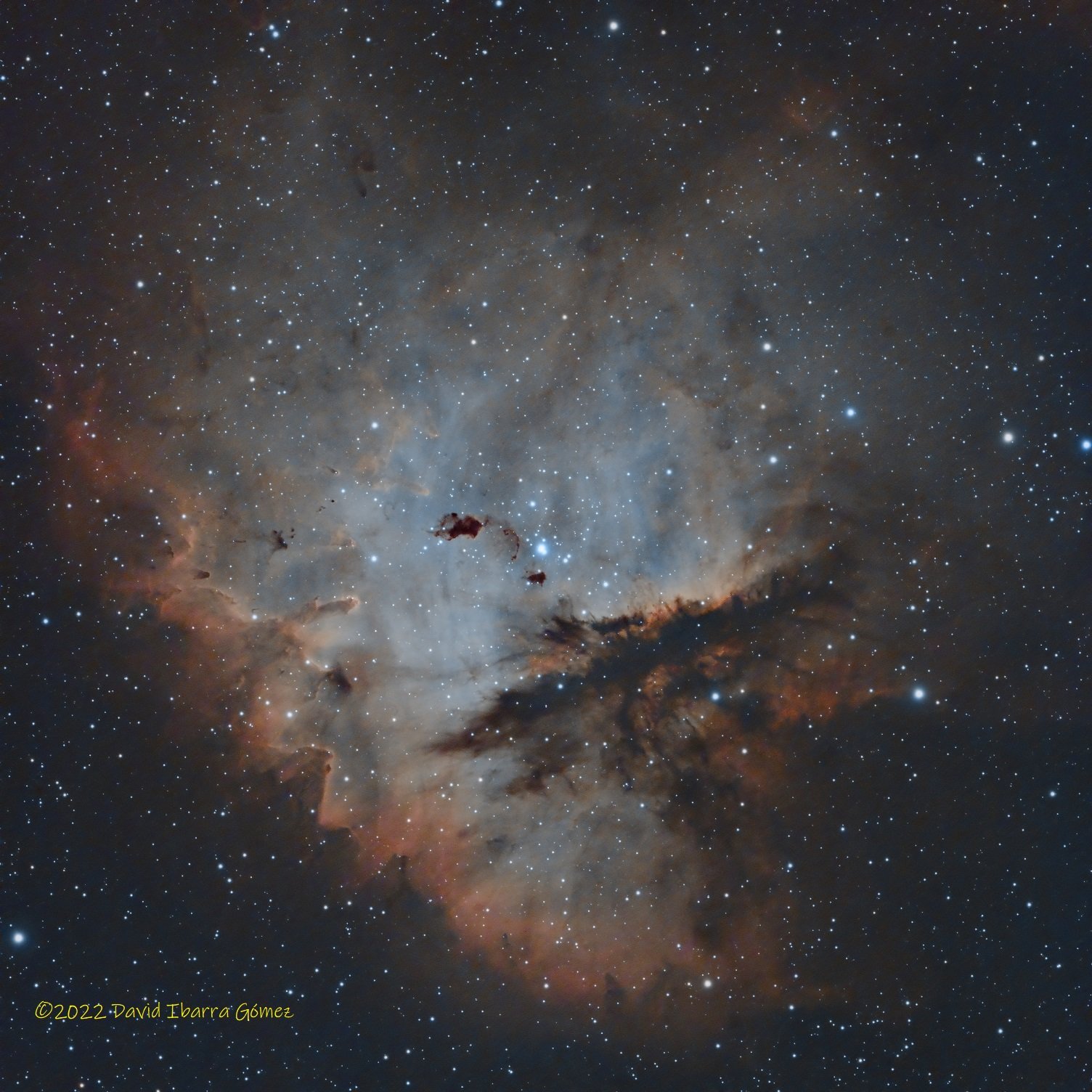 IC1590 - David Ibarra