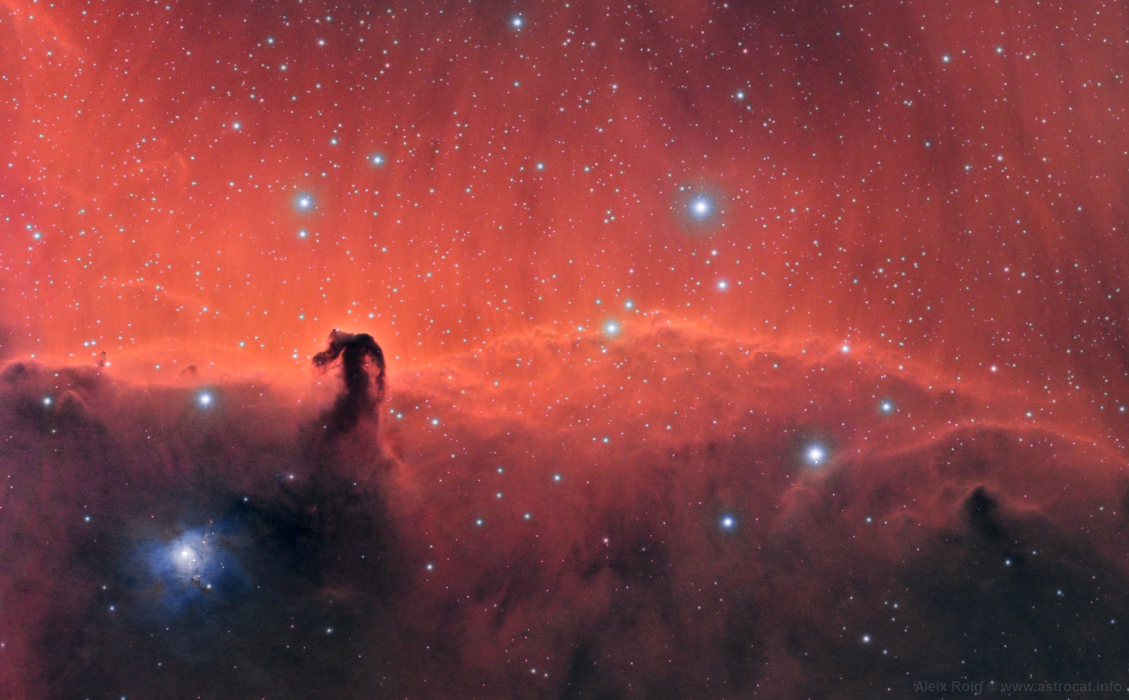 Horsehead Nebula - Aleix Roig