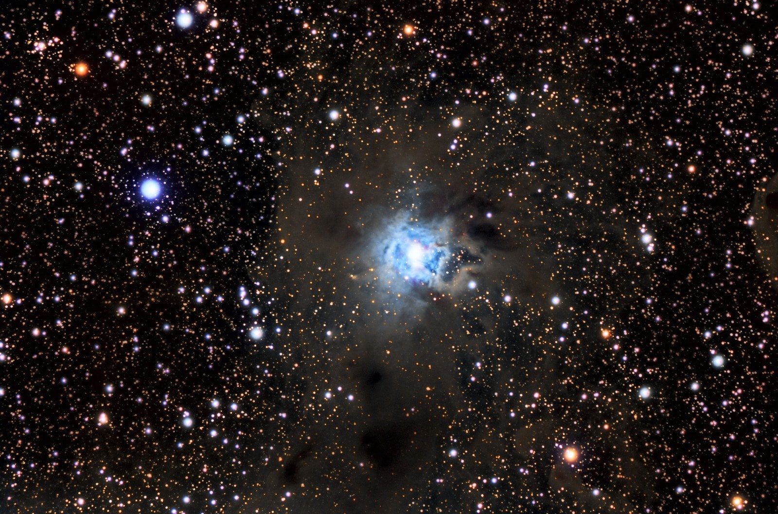 NGC7023 - Antonio Fabiani