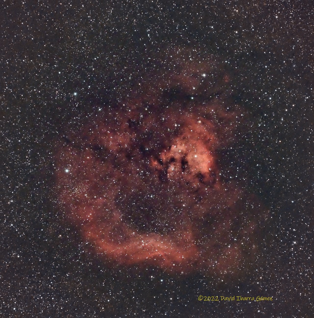 NGC7822 - David Ibarra