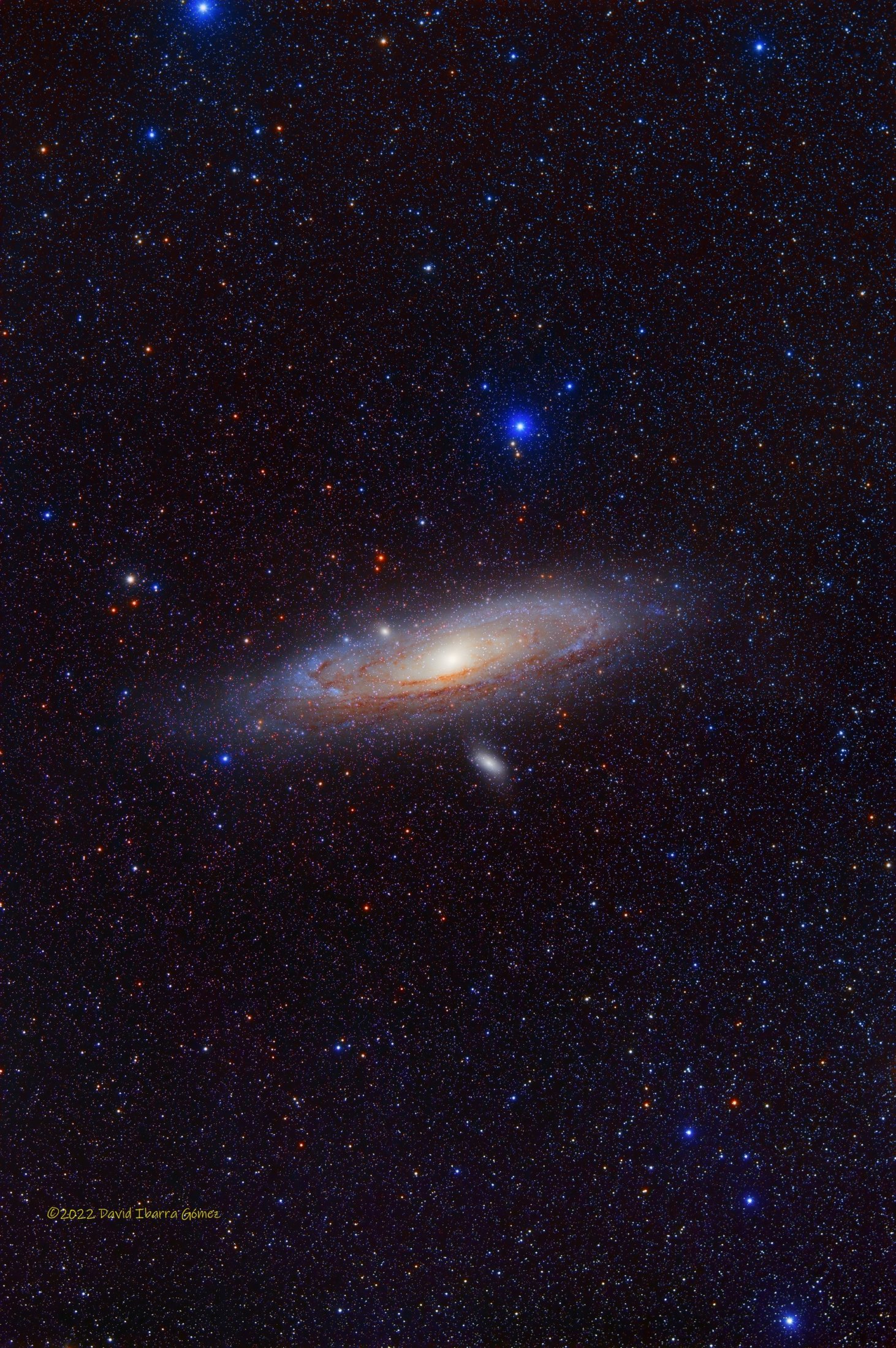 Andromeda - David Ibarra