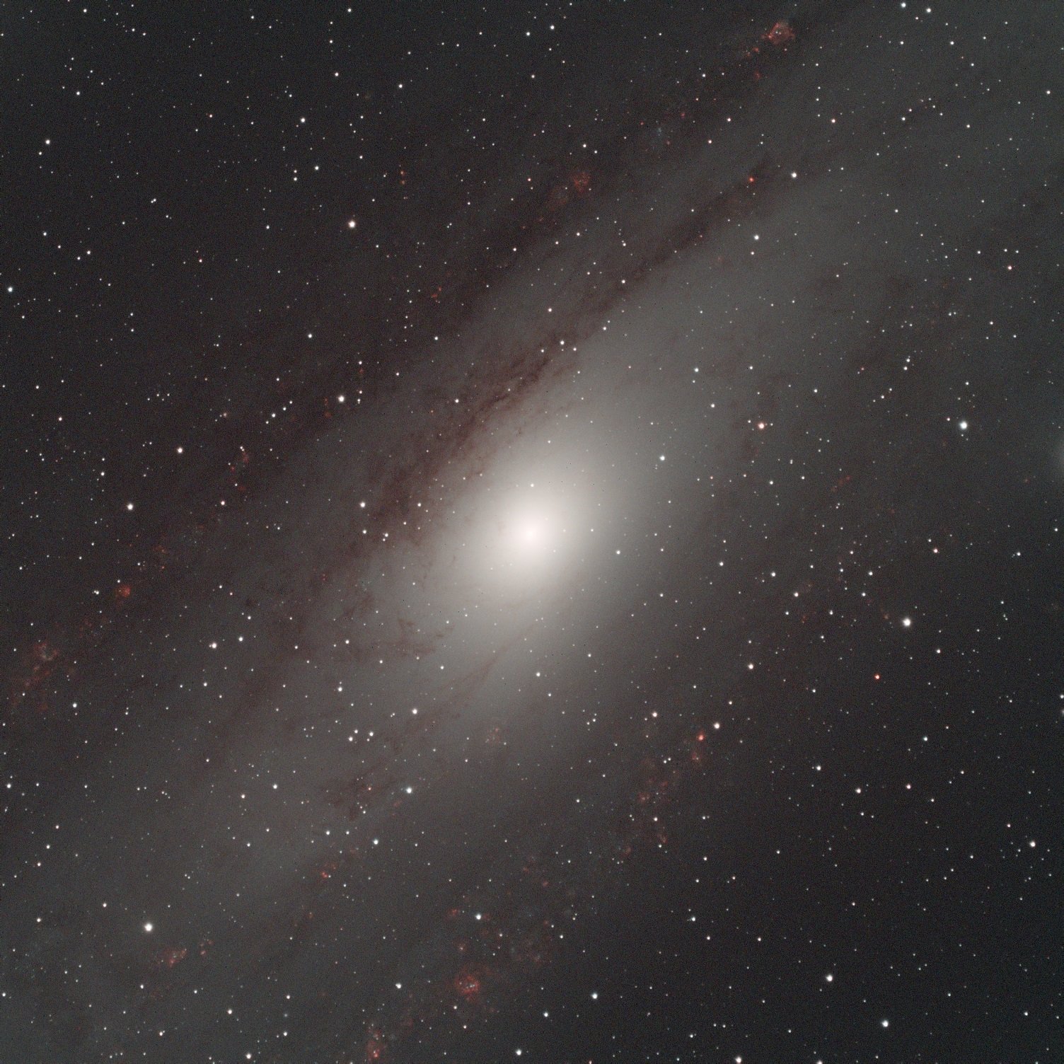 M31 - David Ibarra
