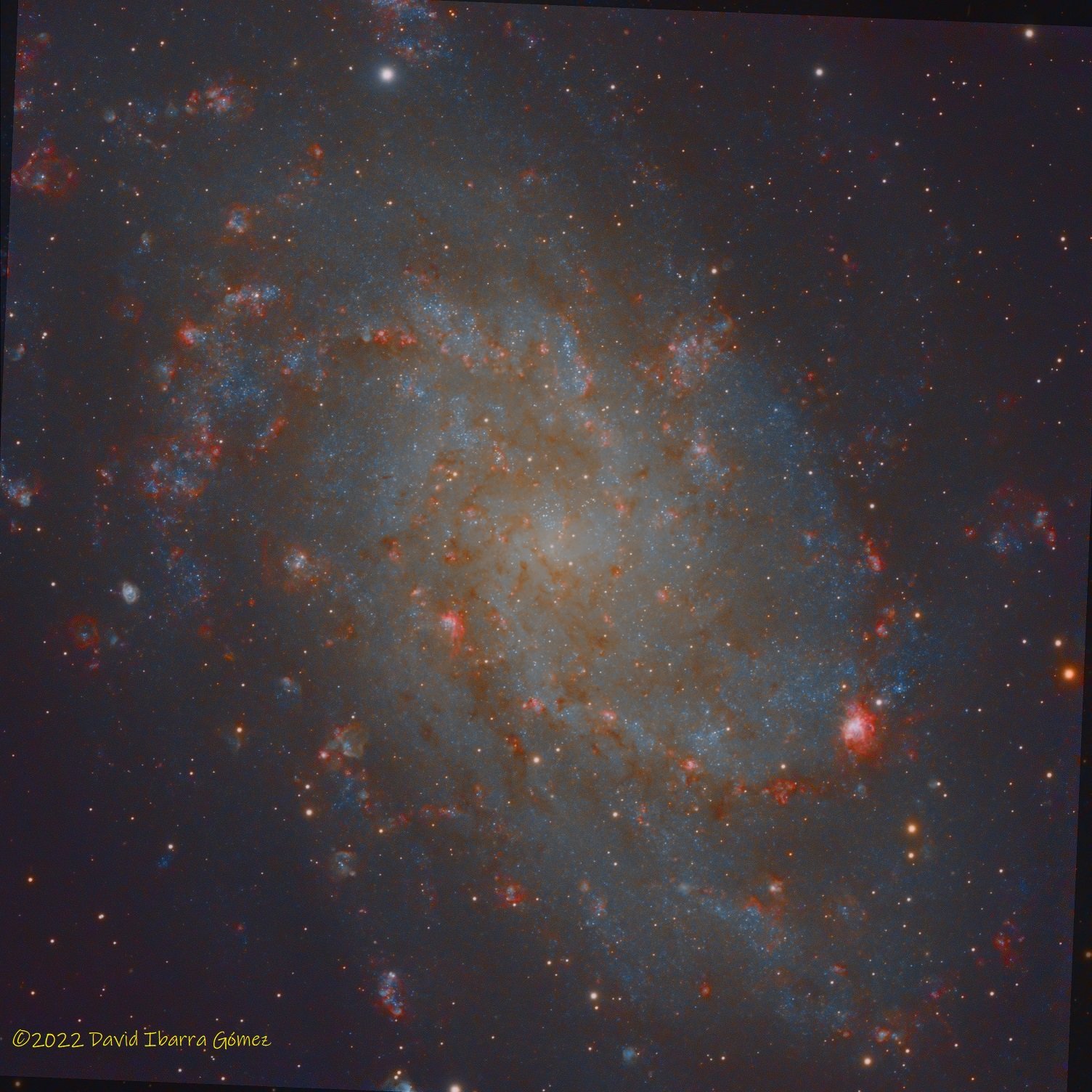 M33 - David Ibarra