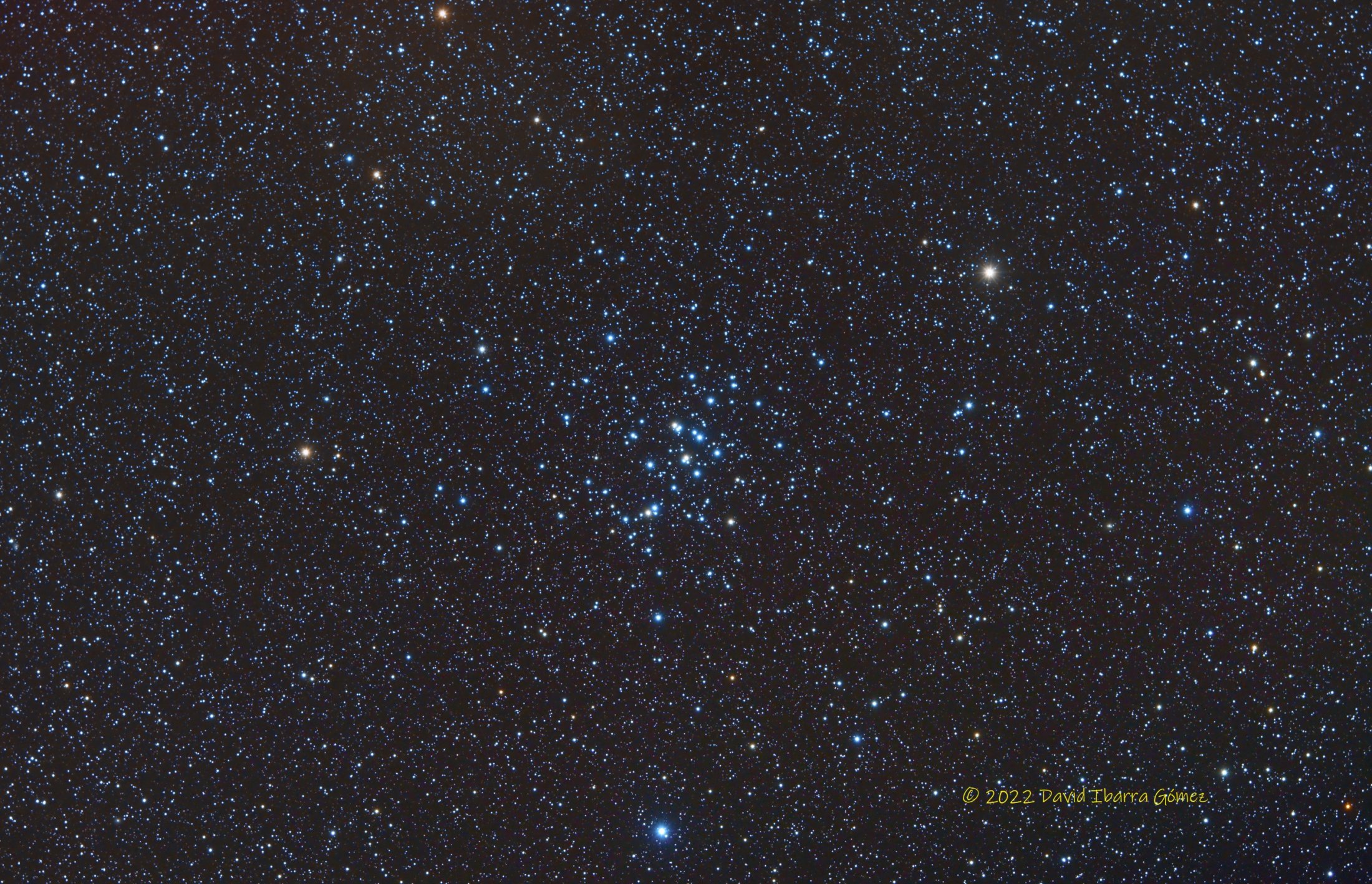 M44 - David Ibarra