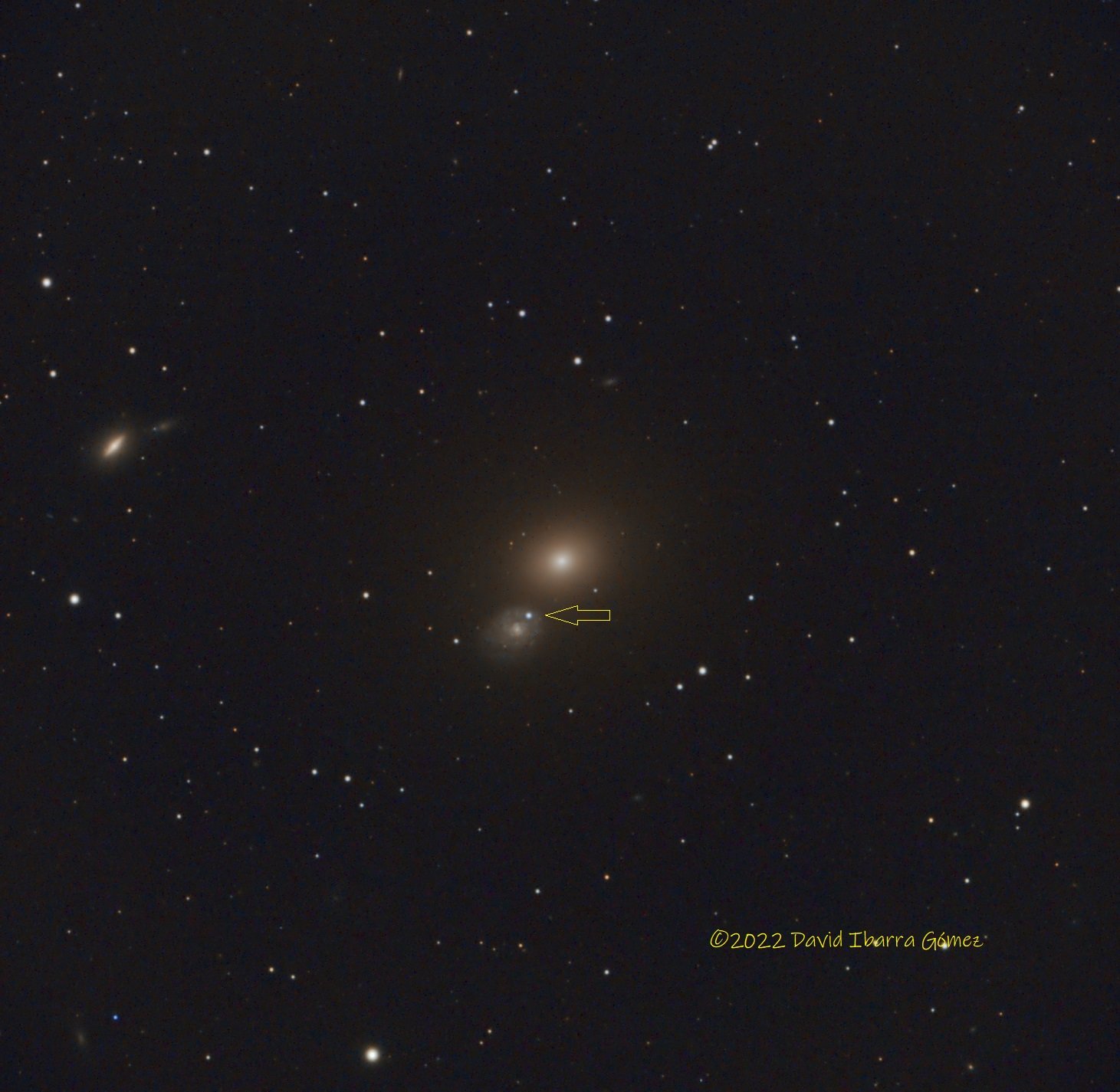 Supernova en NGC4647/M60 - David Ibarra