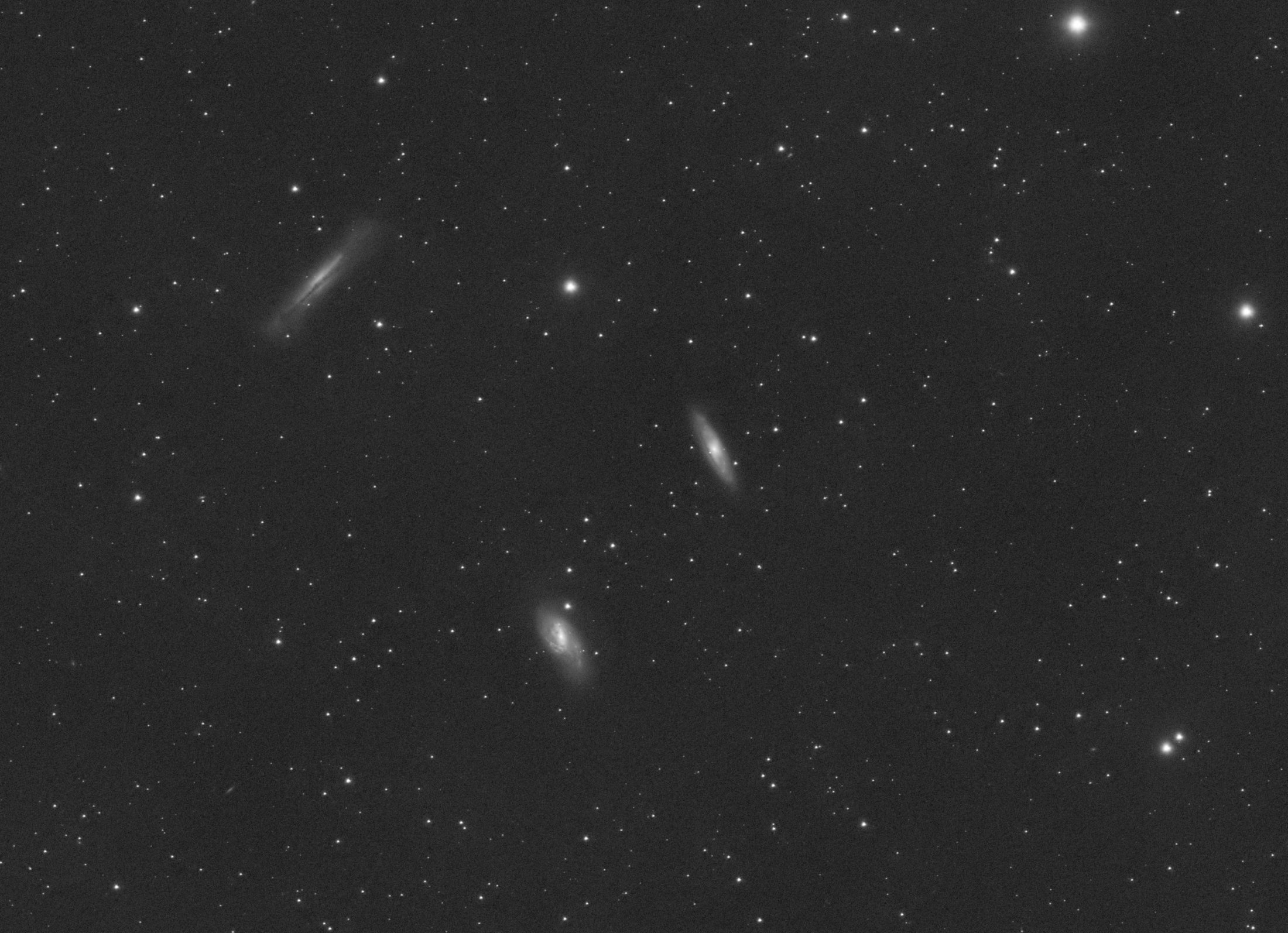 M65, M66 i NGC 3628 - Adrià Igualada