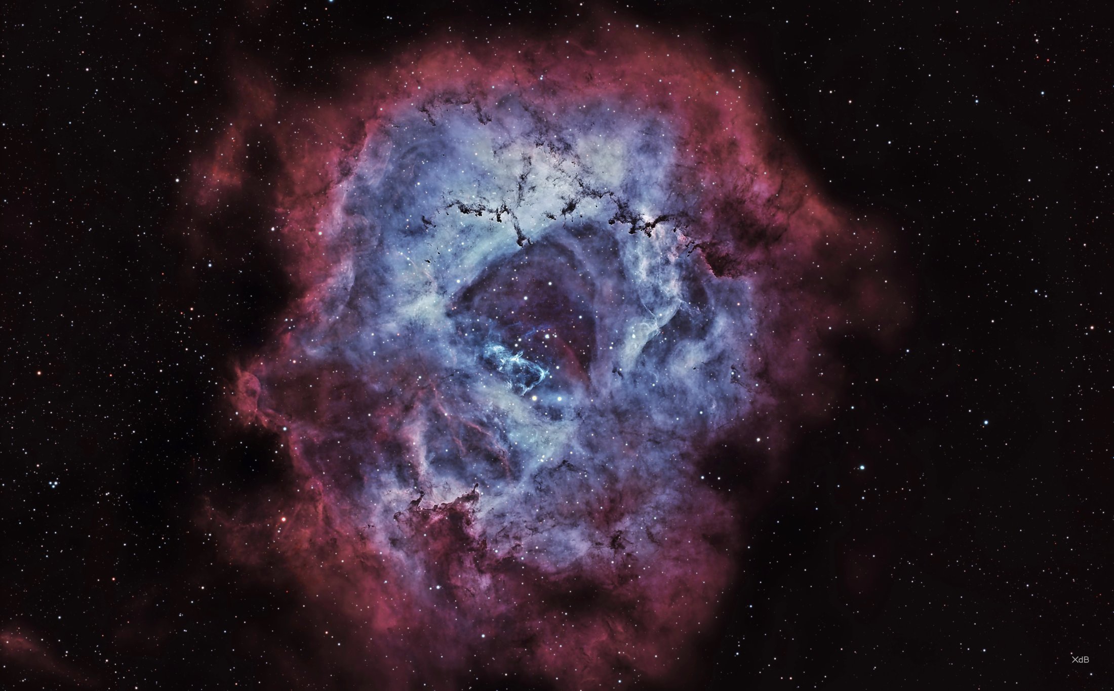 NGC 2237 - Xavier del Bas