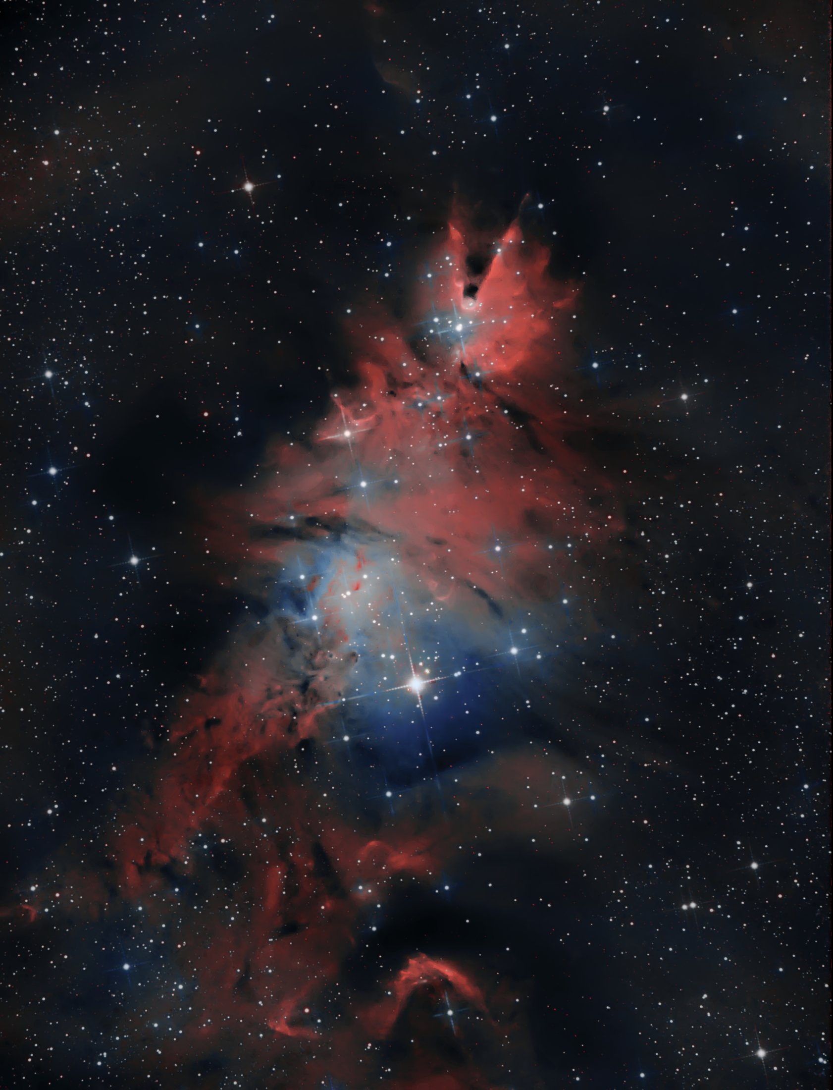 NGC2264 - Jordi Zamora