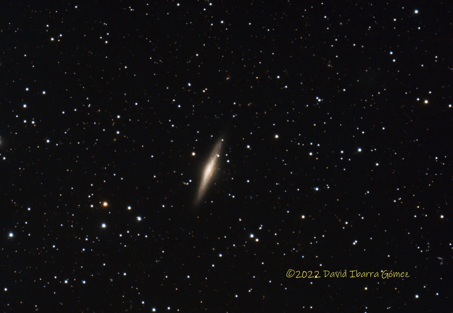 NGC2683 - David Ibarra