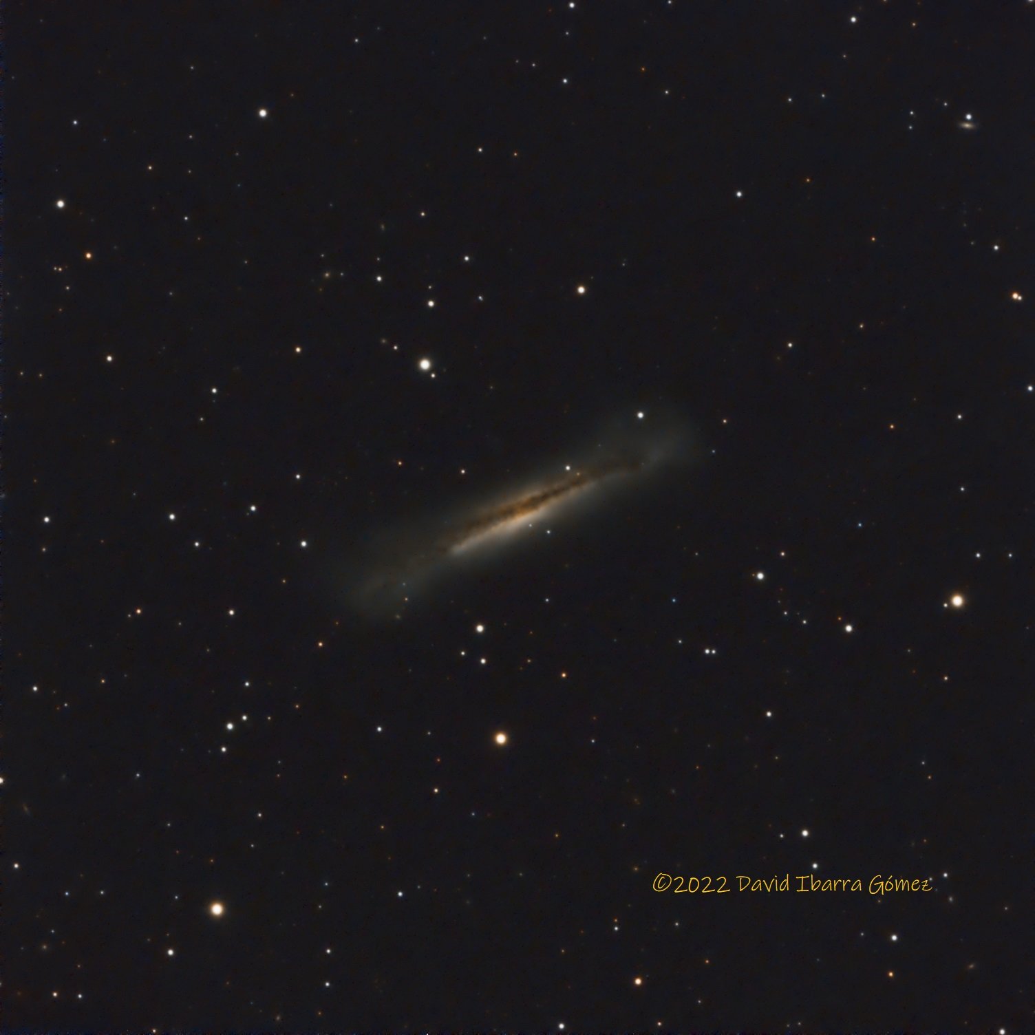NGC3628 - David Ibarra