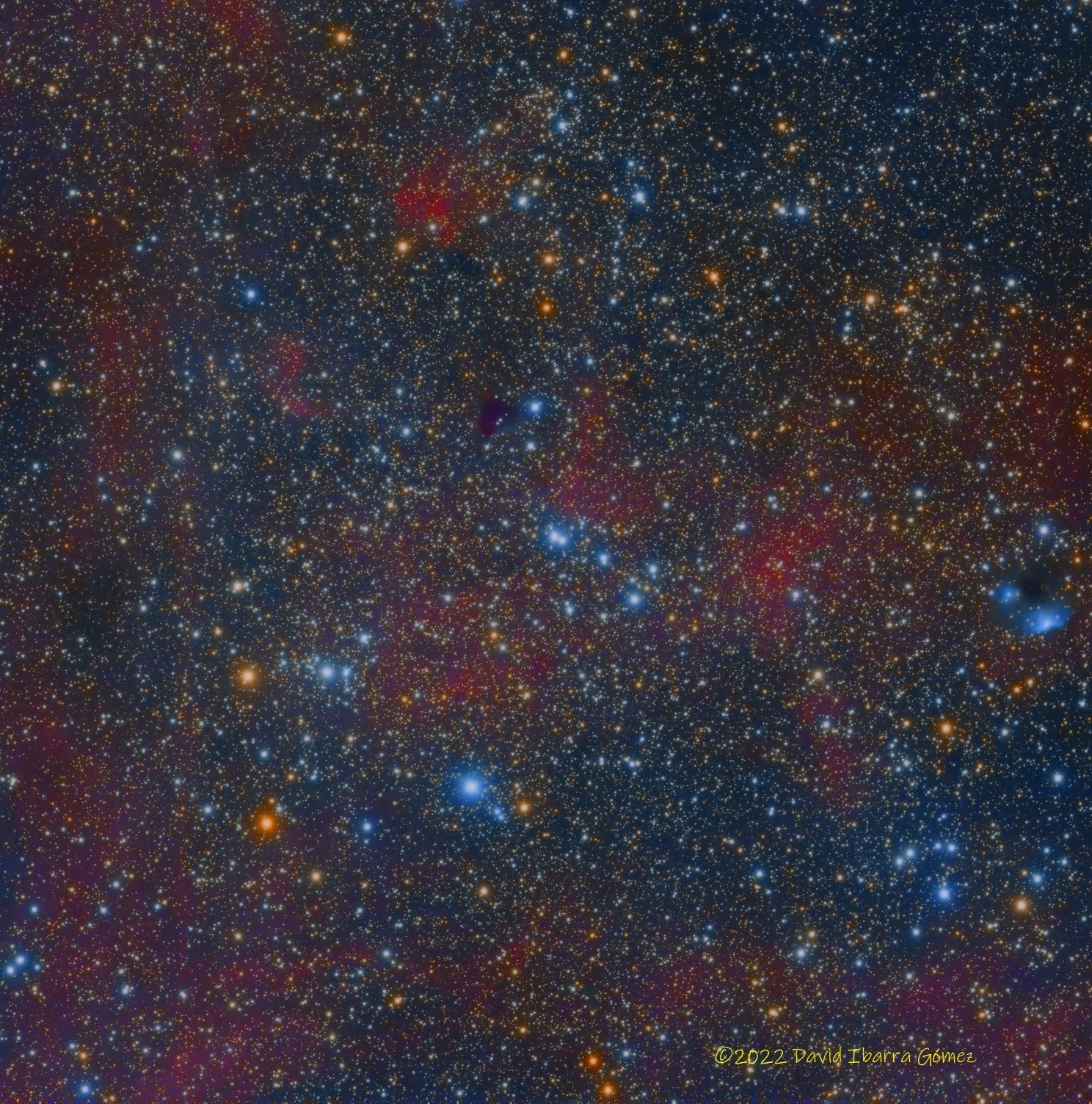 NGC6883 - David Ibarra
