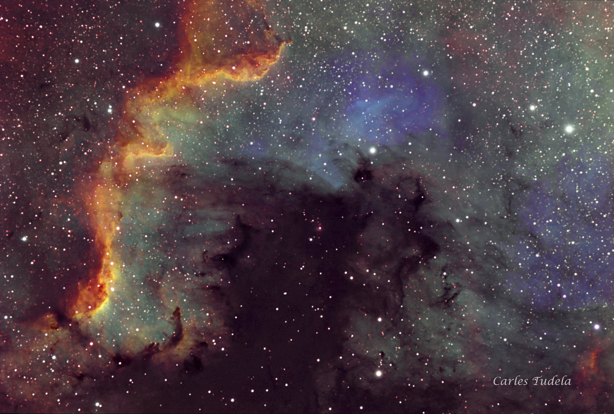 NGC 7000 - Carles Tudela