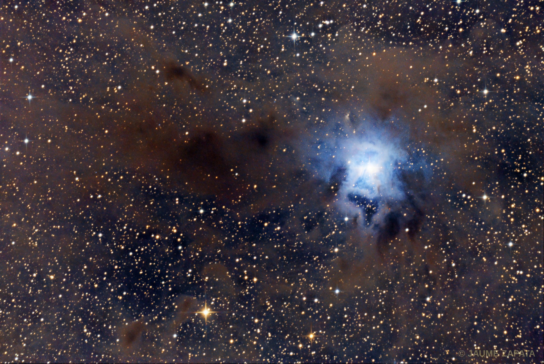 NGC7023 - Jaume Zapata