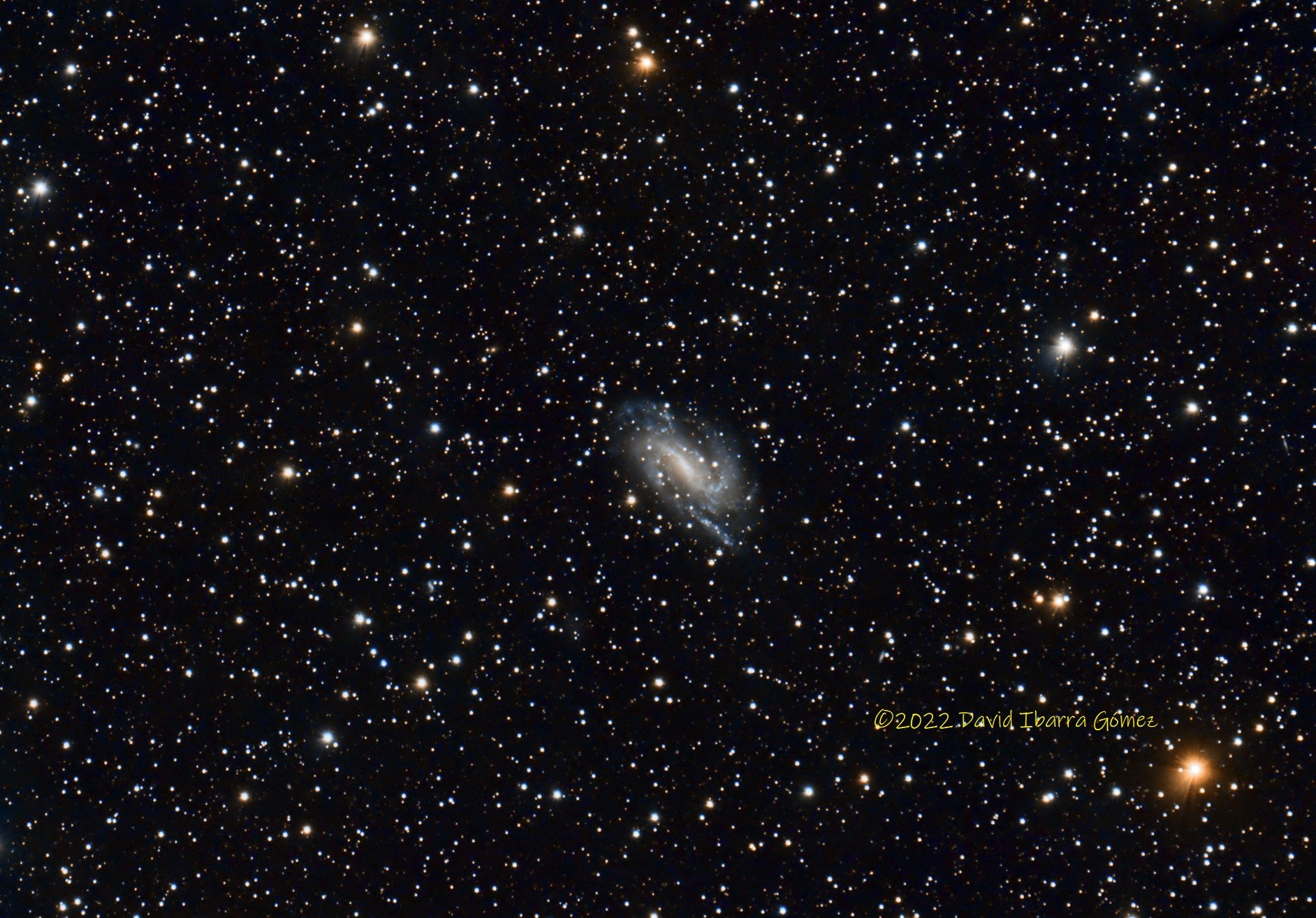 NGC925 - David Ibarra