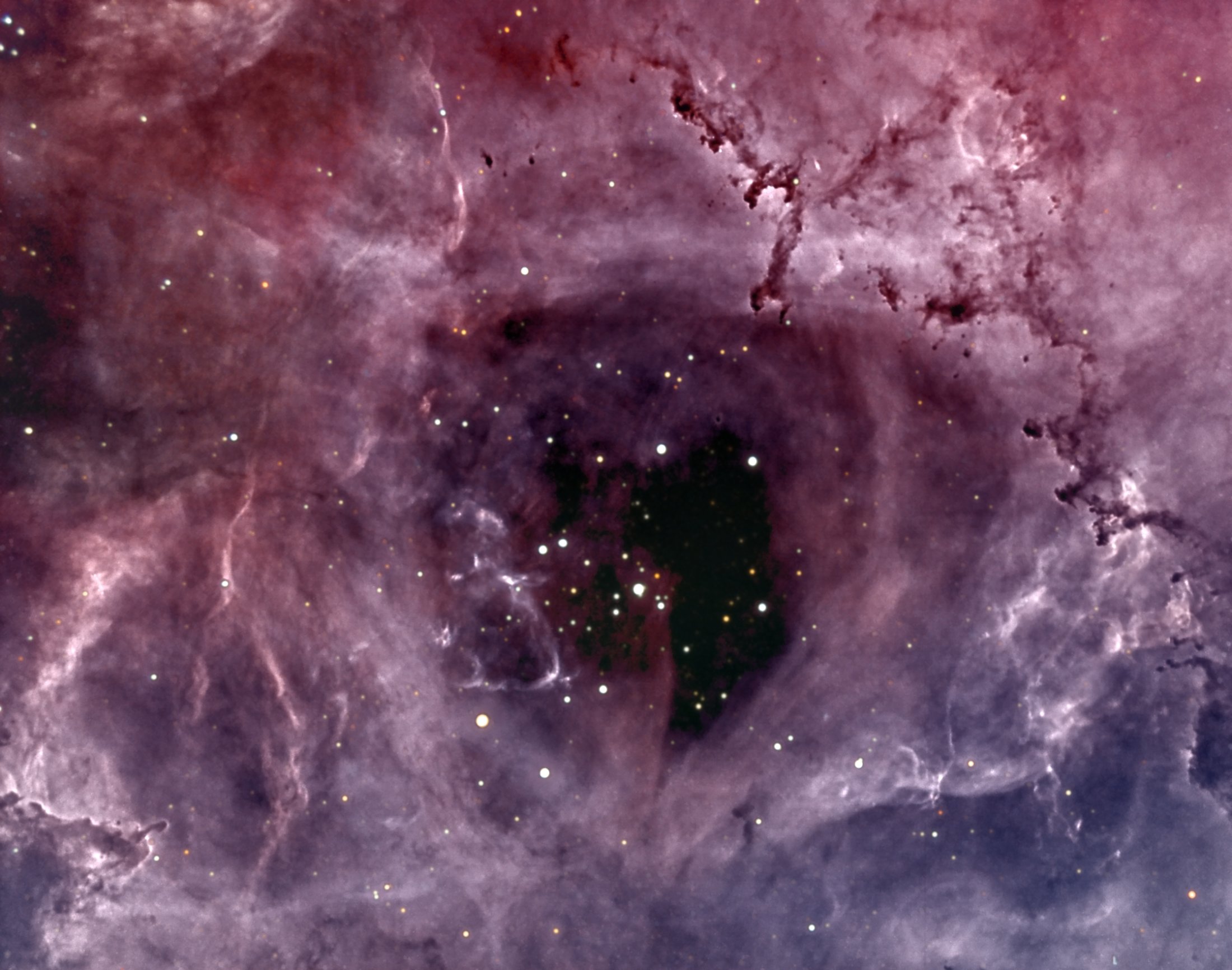 NGC 2244 - Lluís Ribé