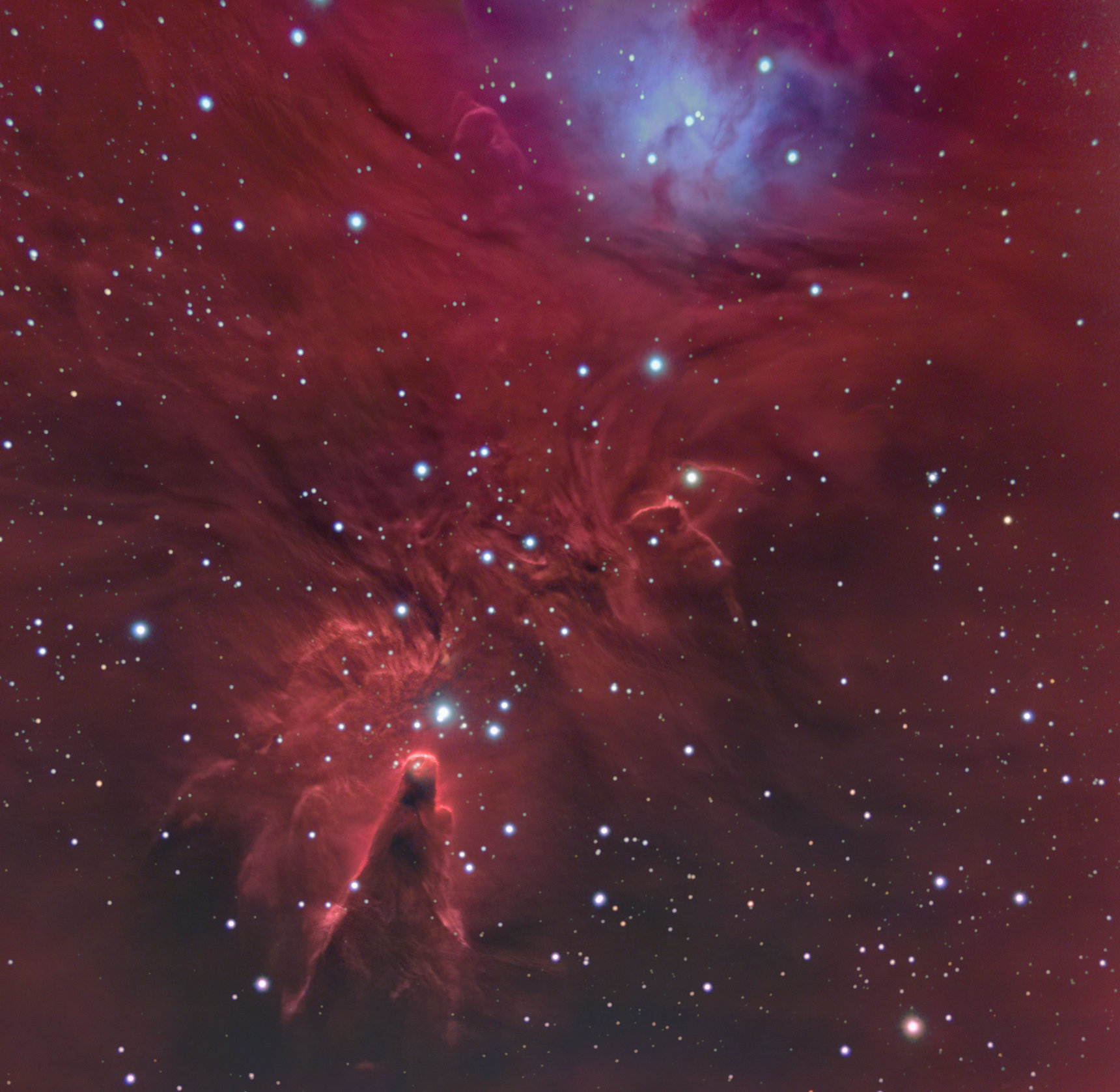 NGC 2264 - Lluís Ribé