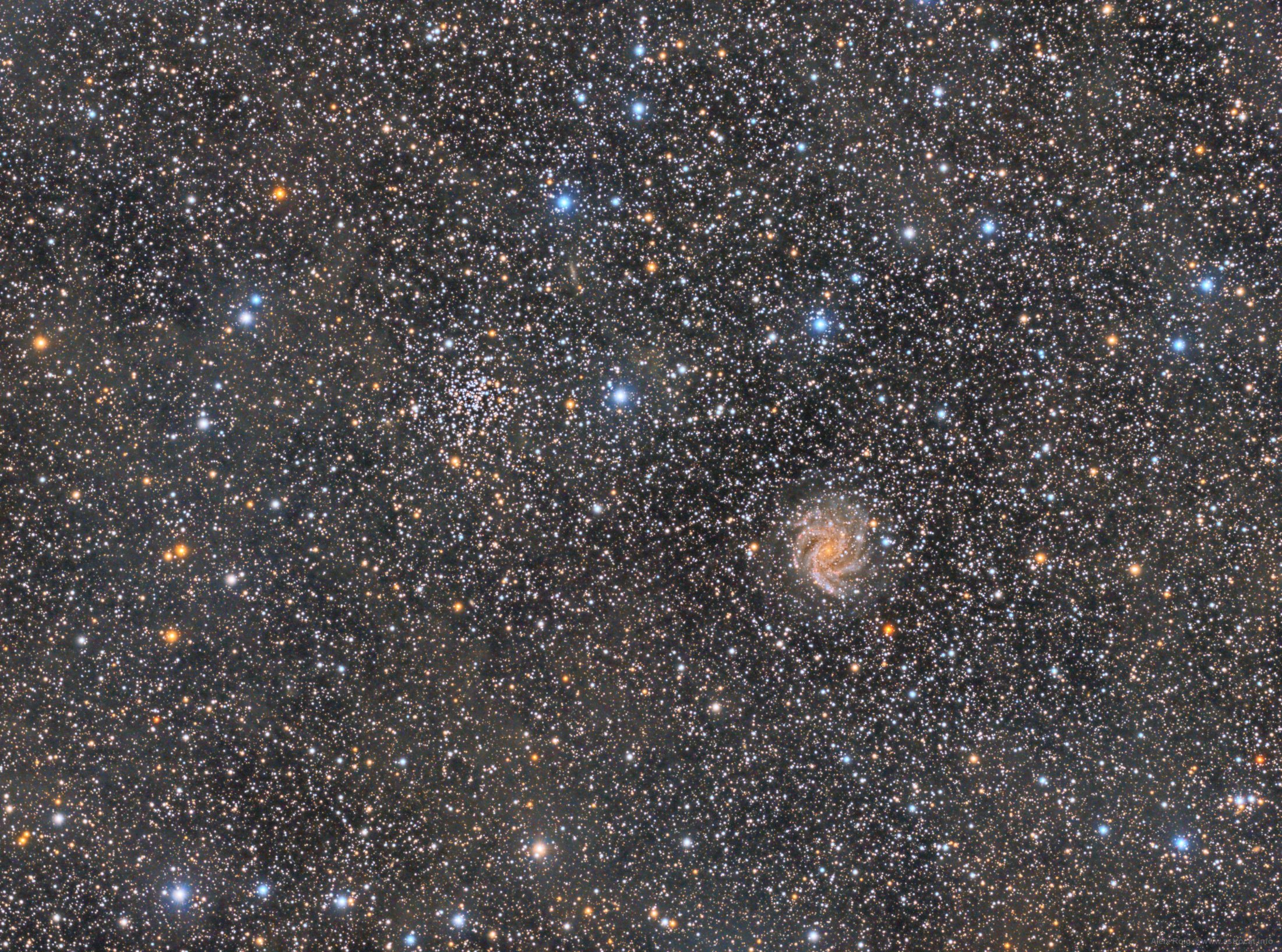 NGC 6946 i 6339 - Aleix Roig