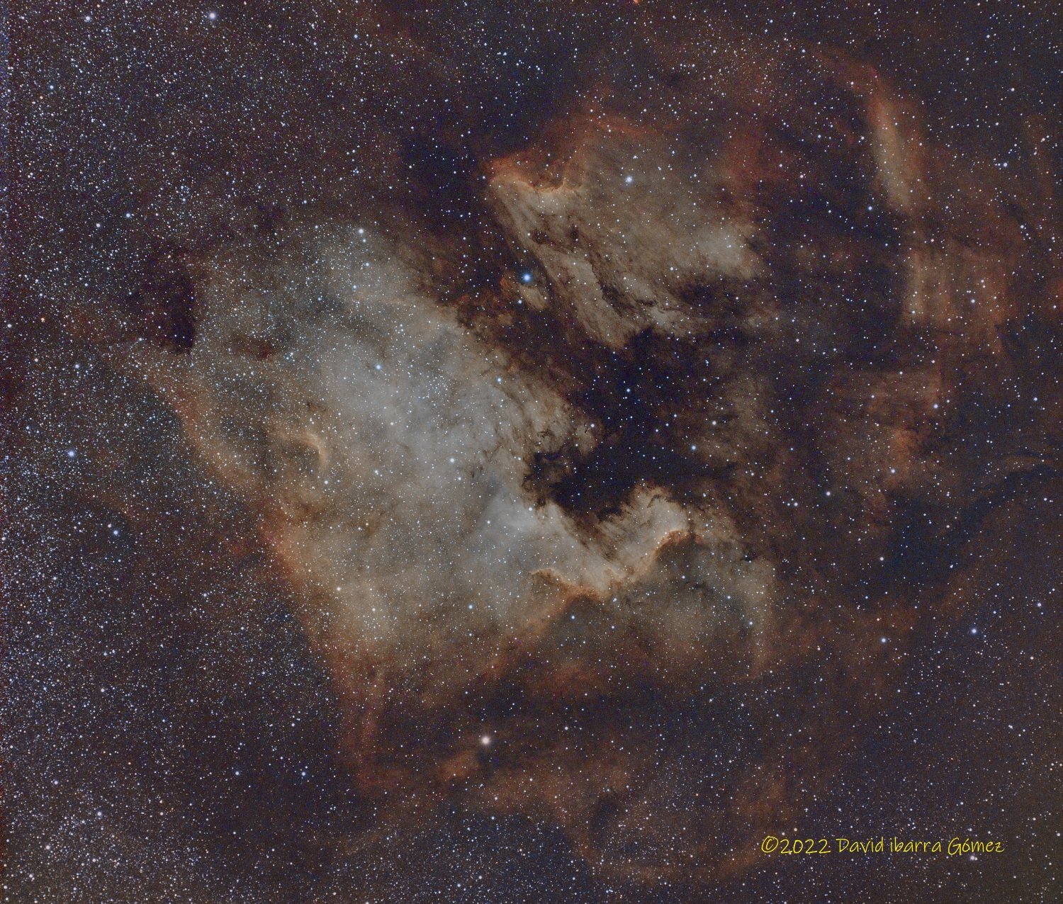 Nebulosa Norteamericana Y El Pelícano Redu - David Ibarra