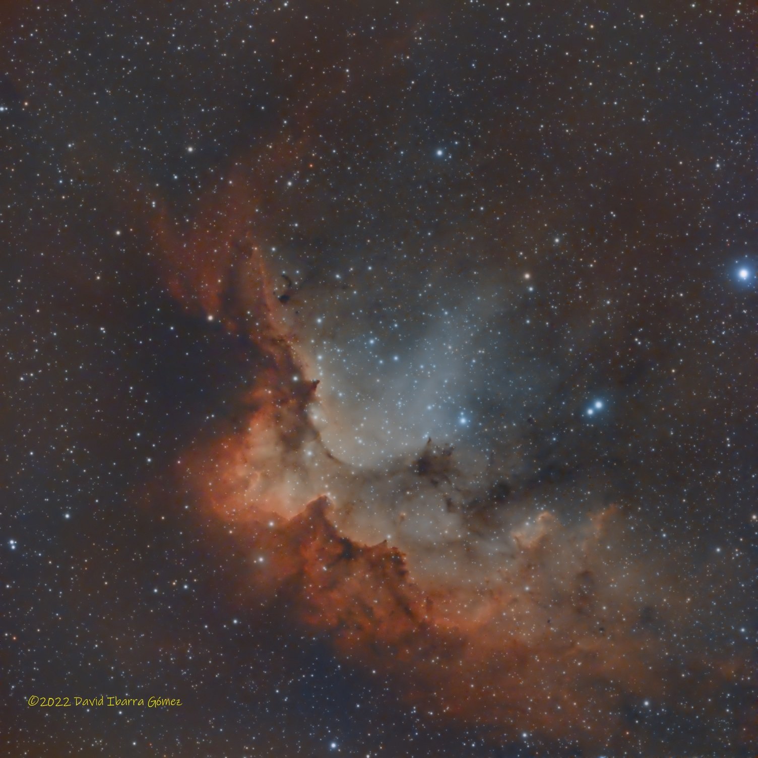 Nebulosa Del Mago - David Ibarra