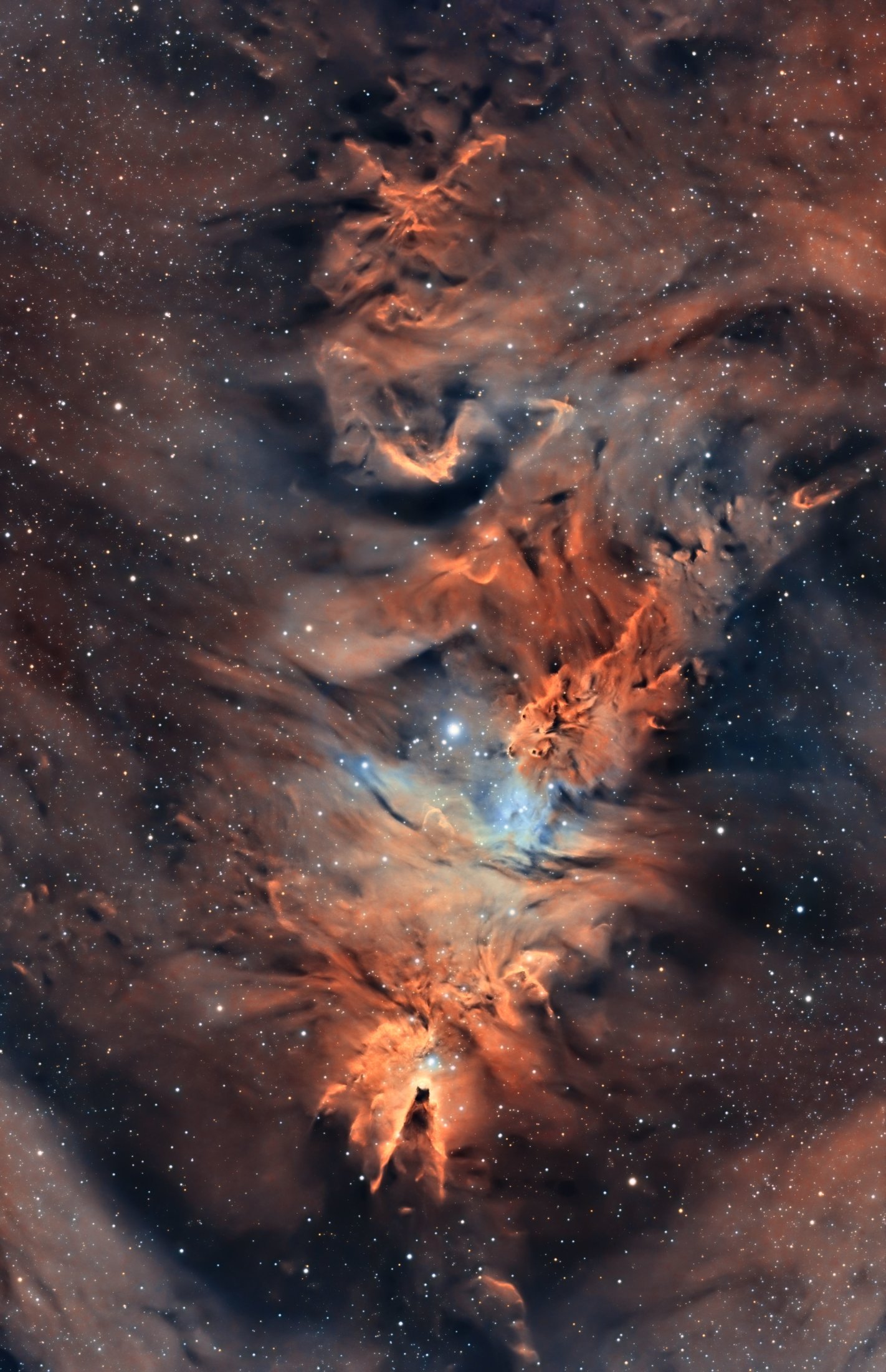 NGC2264 - Toni Fabiani