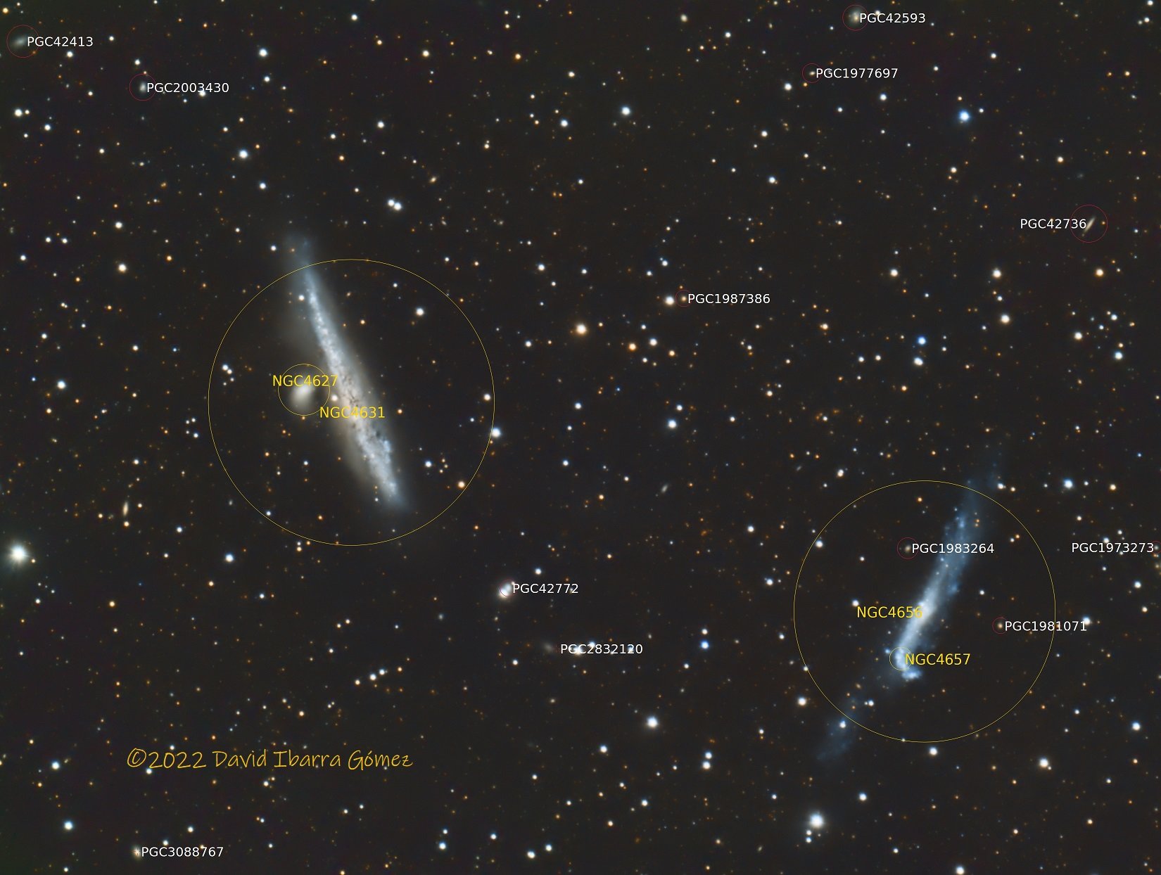 NGC4627, NGC4631, NGC4656 y NGC4657 - David Ibarra