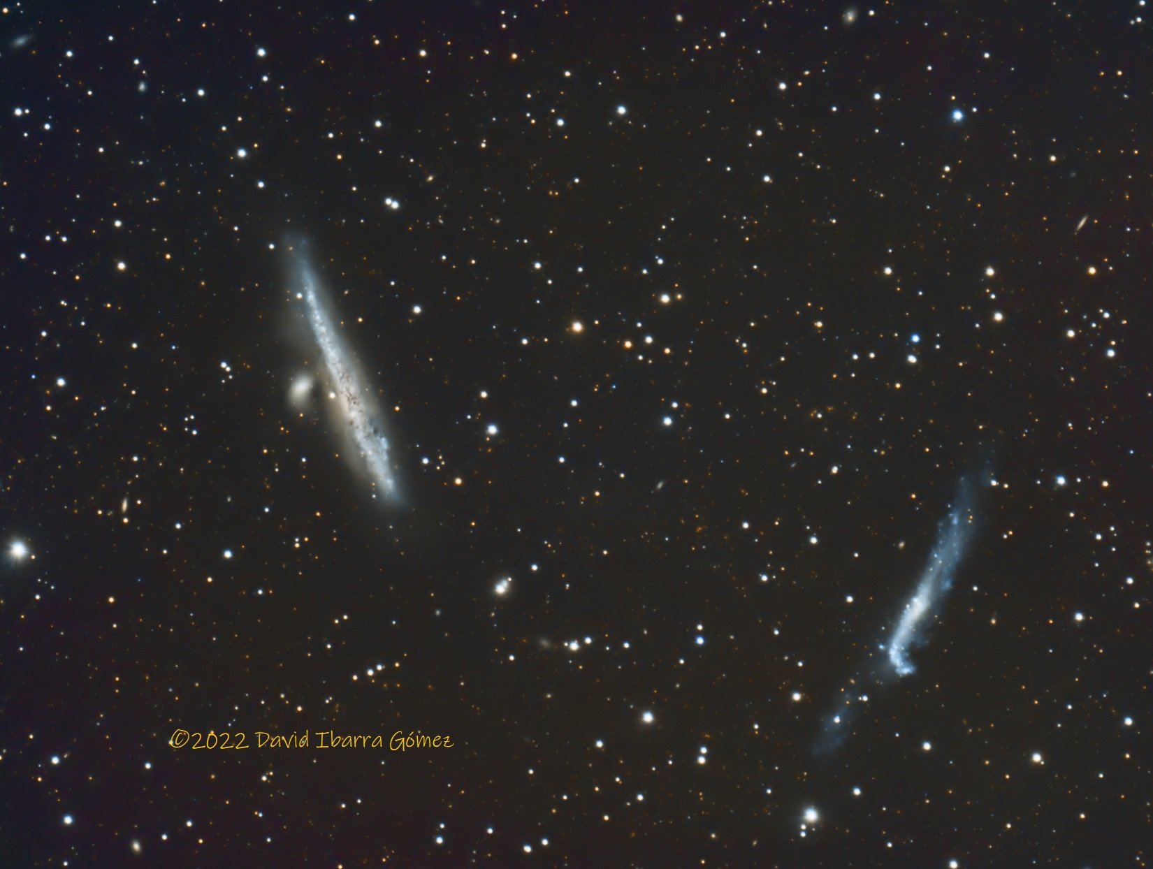 NGC4627, NGC4631, NGC4656 y NGC4657 - David Ibarra