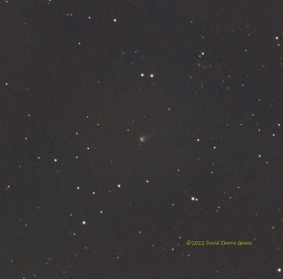 Cometa C/2020 V2 - David Ibarra
