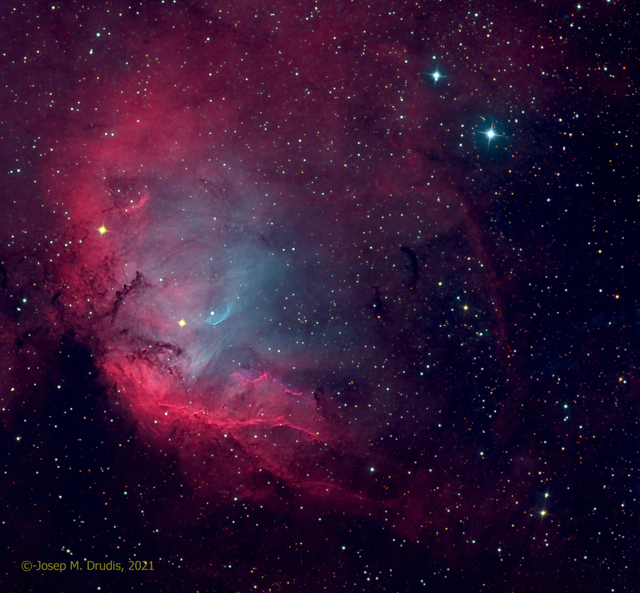 Cygnus X-1 i Tulip Nebula - Josep Maria Drudis