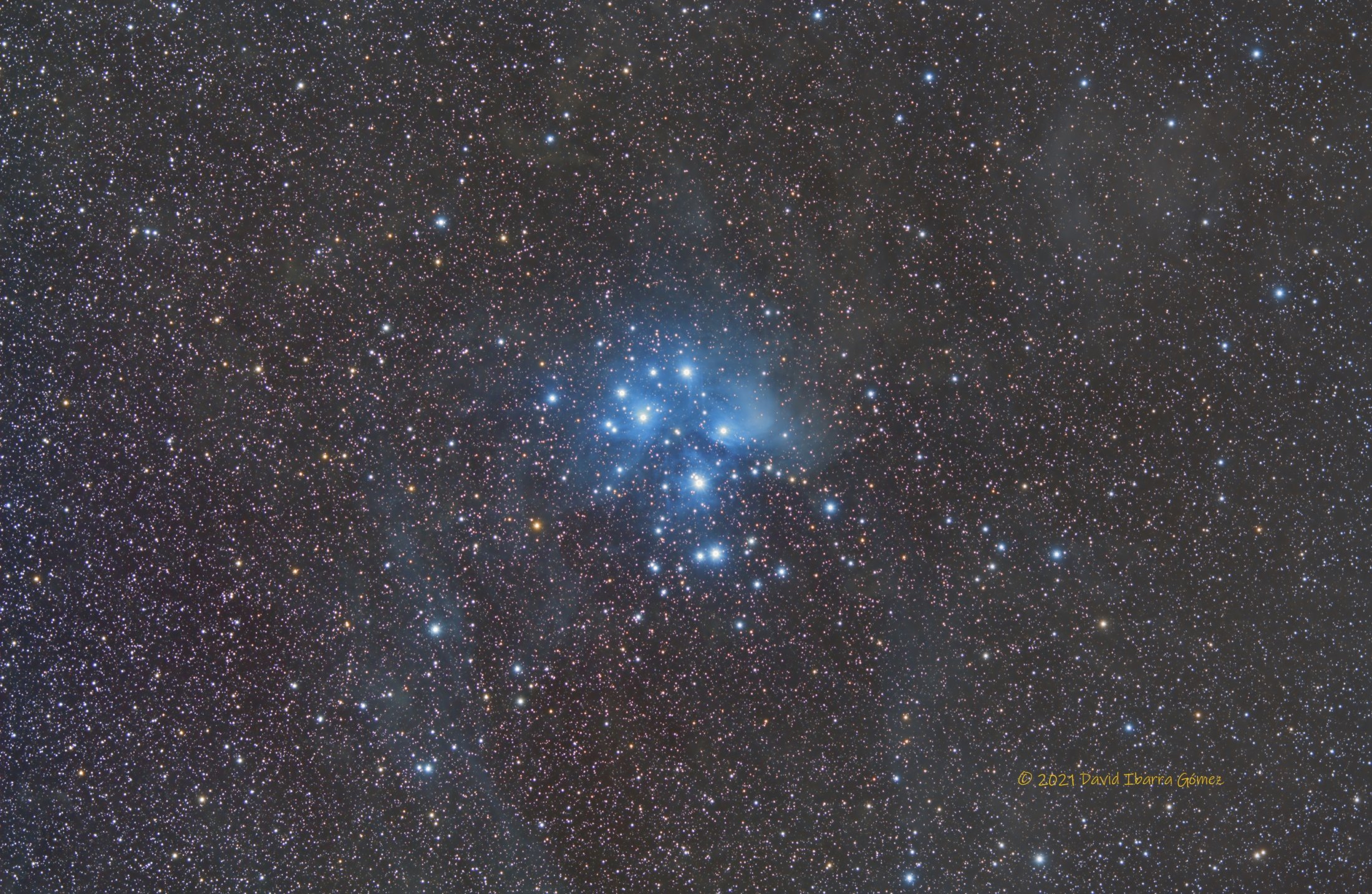 M45 - David Ibarra