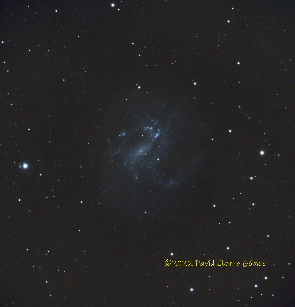UGC7524 - David Ibarra