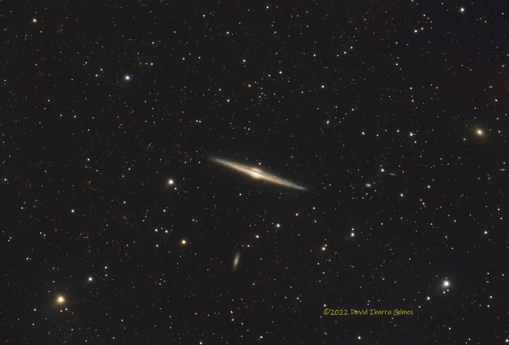 NGC4565 - David Ibarra