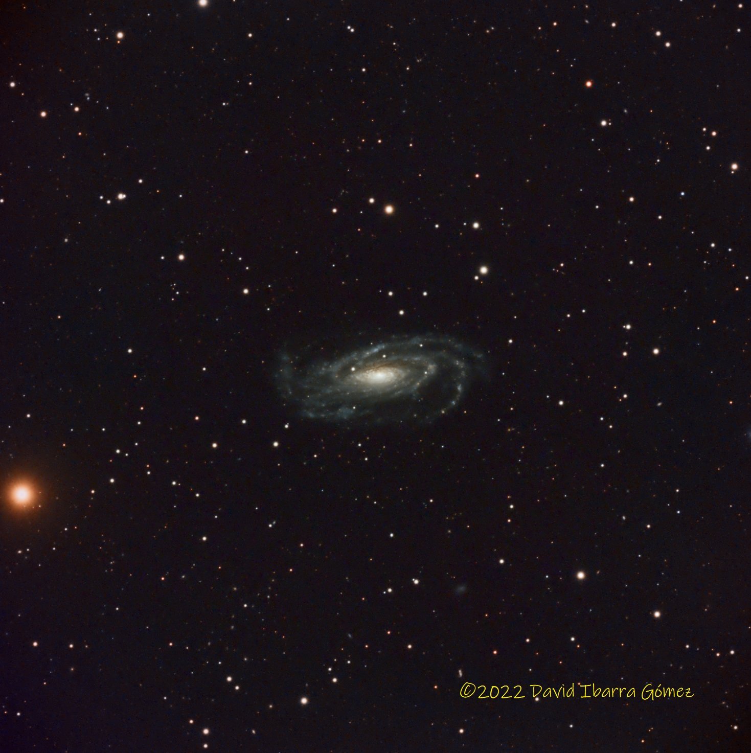 NGC5033 - David Ibarra