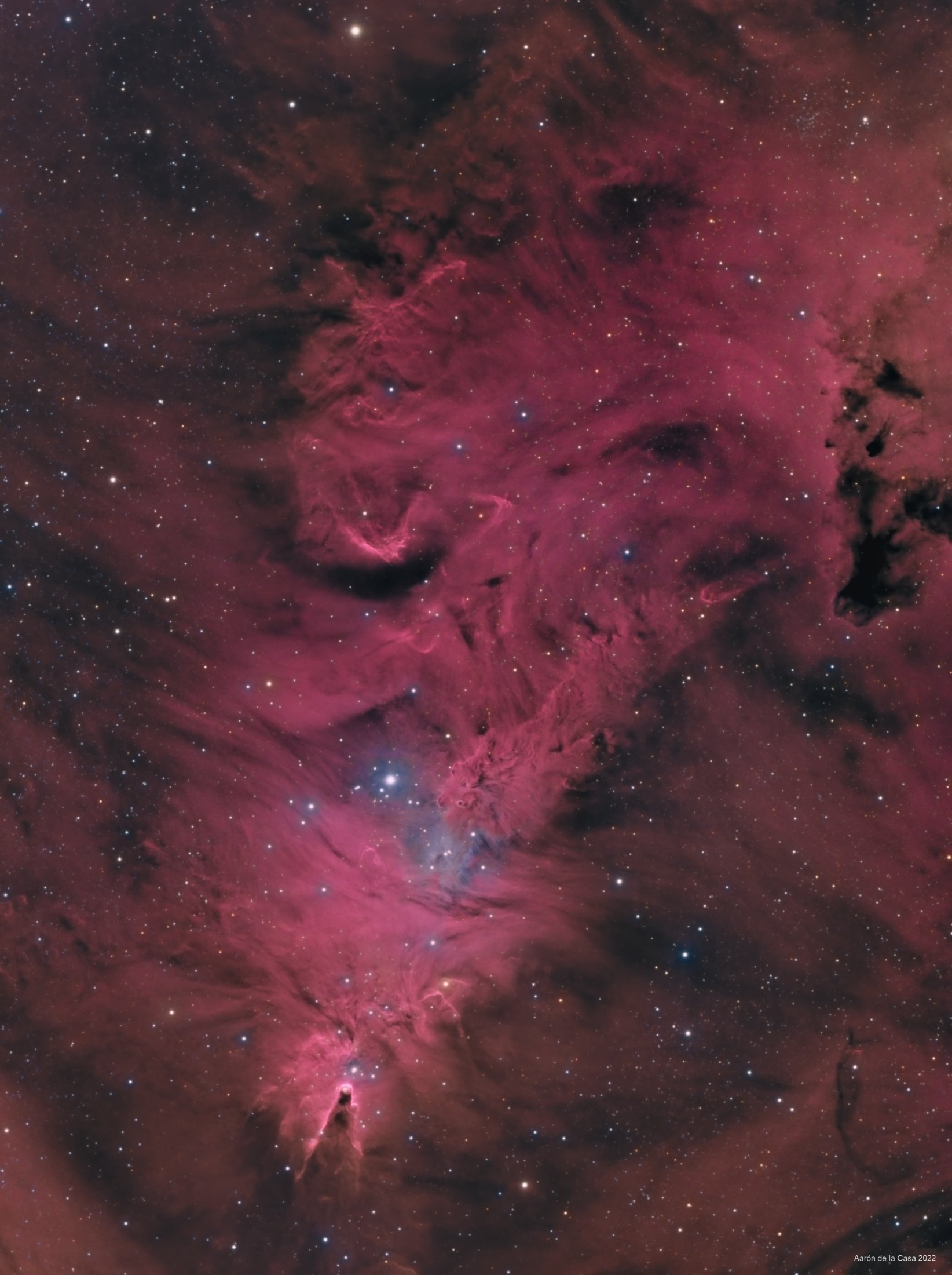 Cone Nebula - Aaron de la Casa