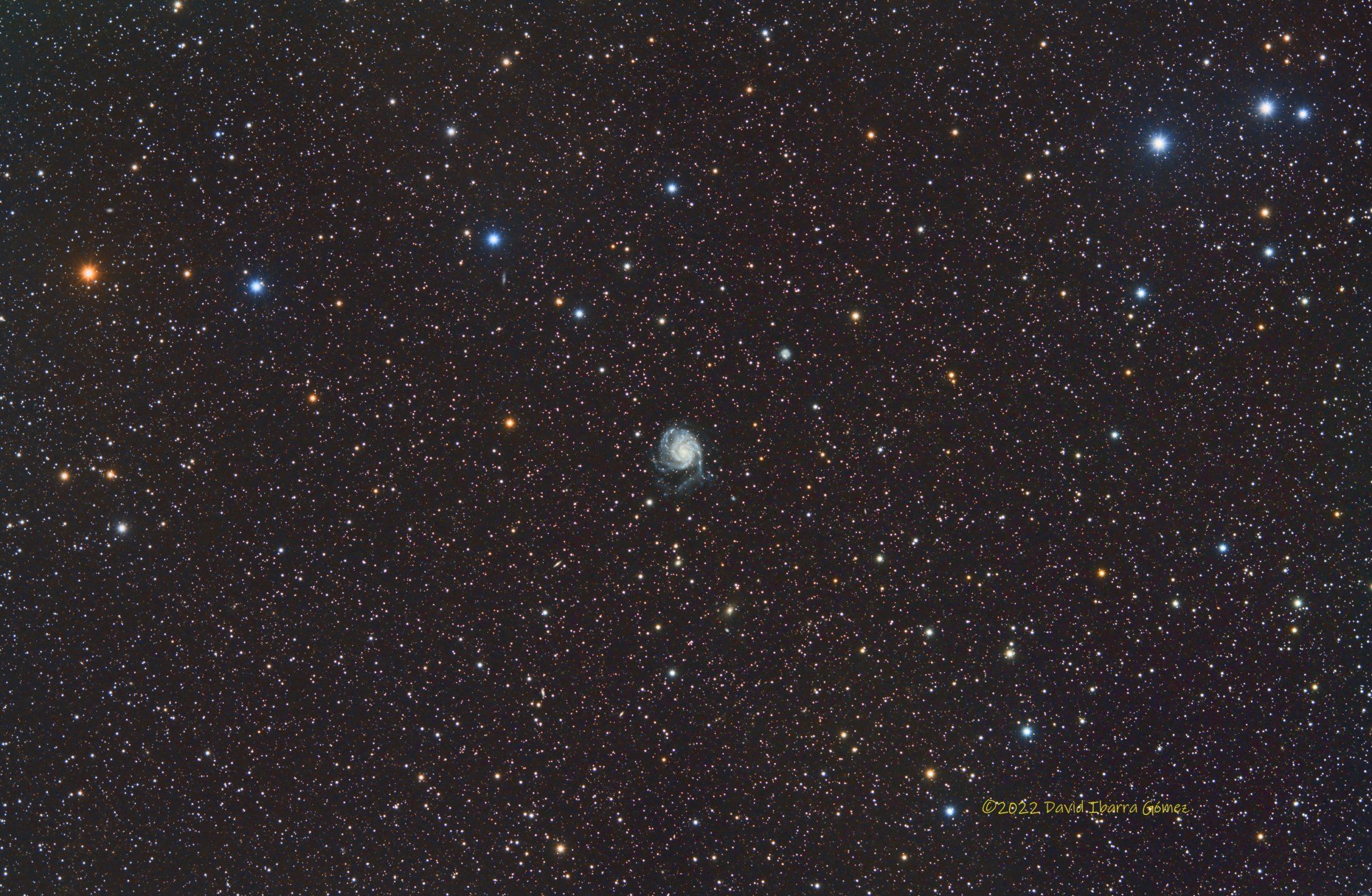 M101 - David Ibarra
