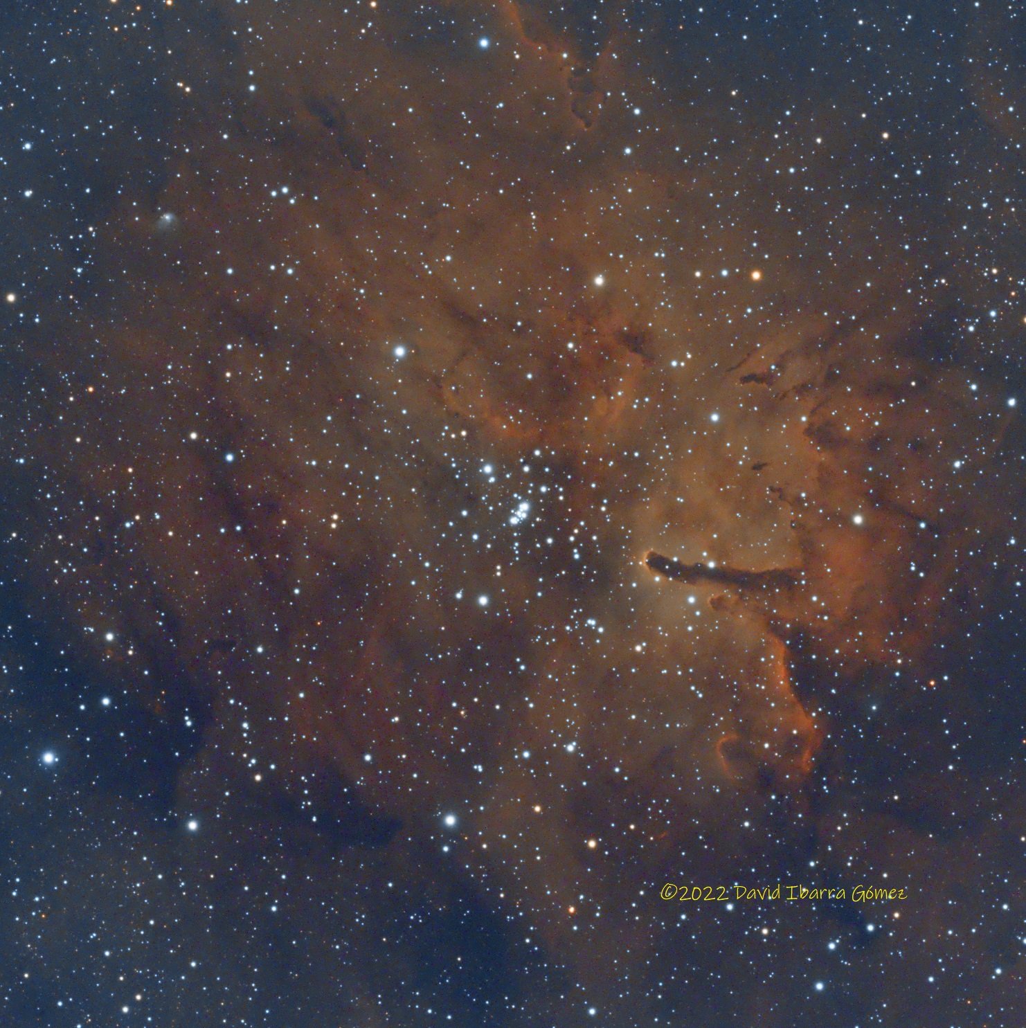 NGC6823 - David Ibarra